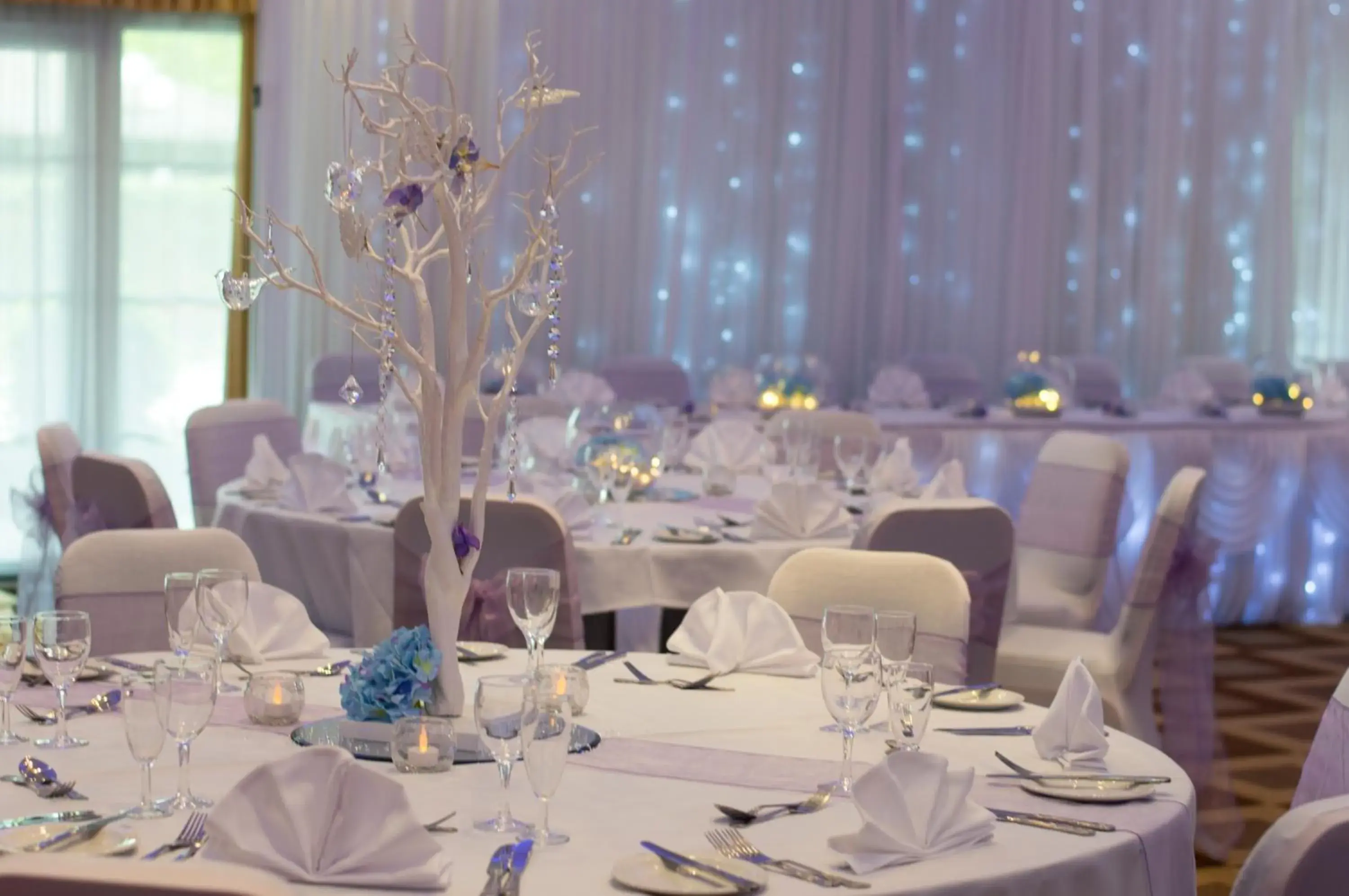 Banquet/Function facilities, Restaurant/Places to Eat in Airport Inn & Spa Manchester