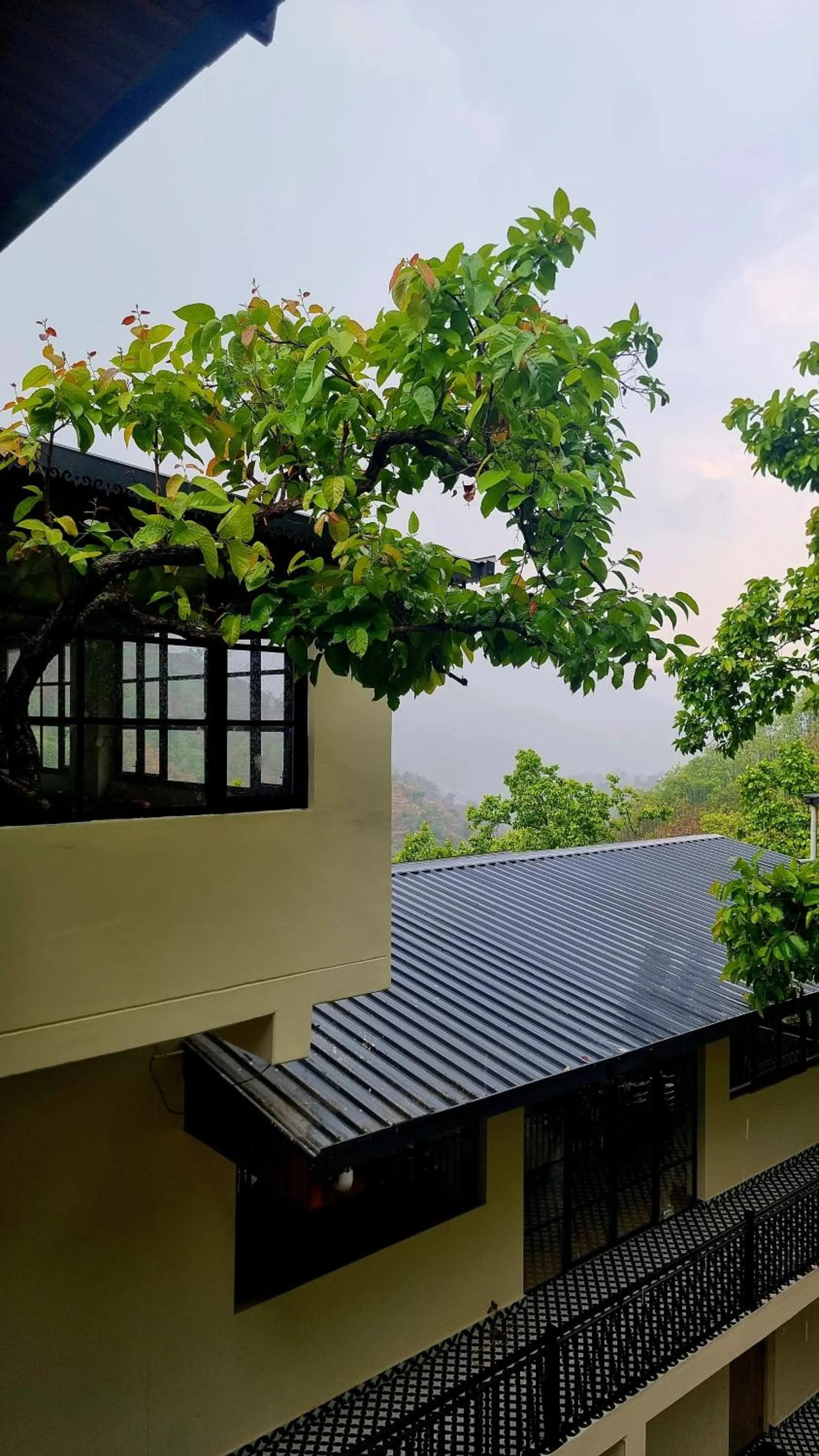View (from property/room) in Marten's Wilderness Retreat