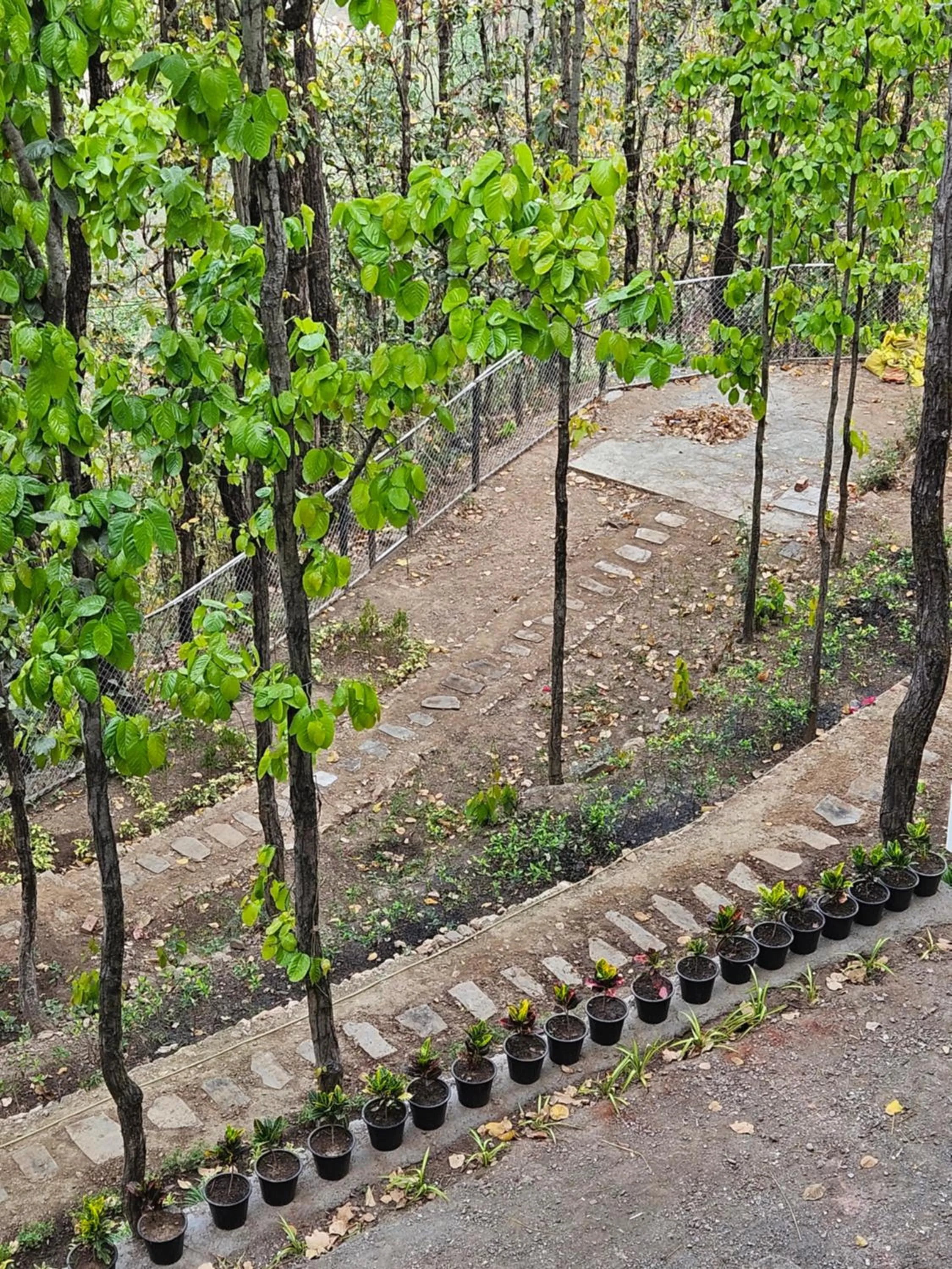 View (from property/room) in Marten's Wilderness Retreat