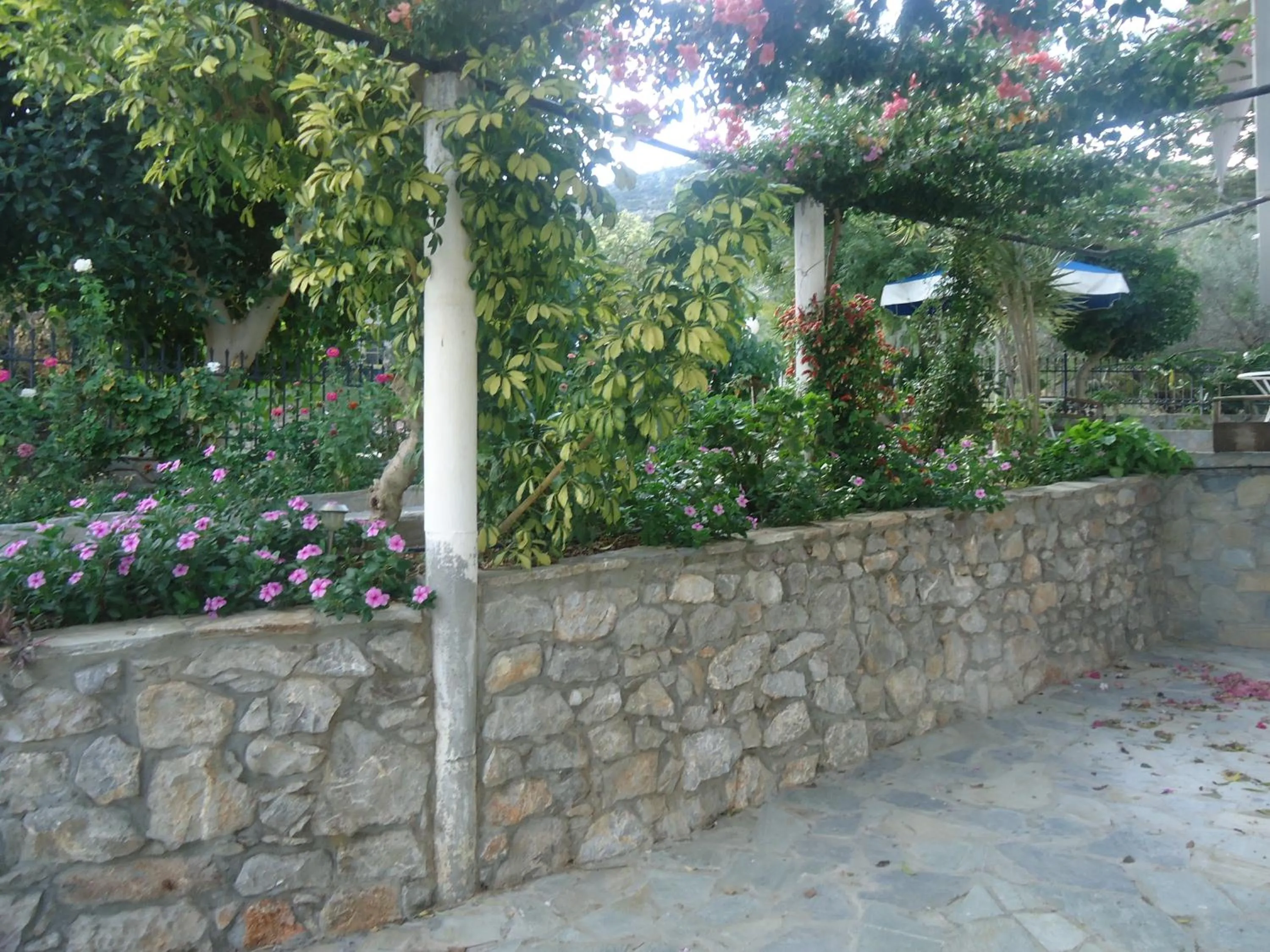 Villa Popi
