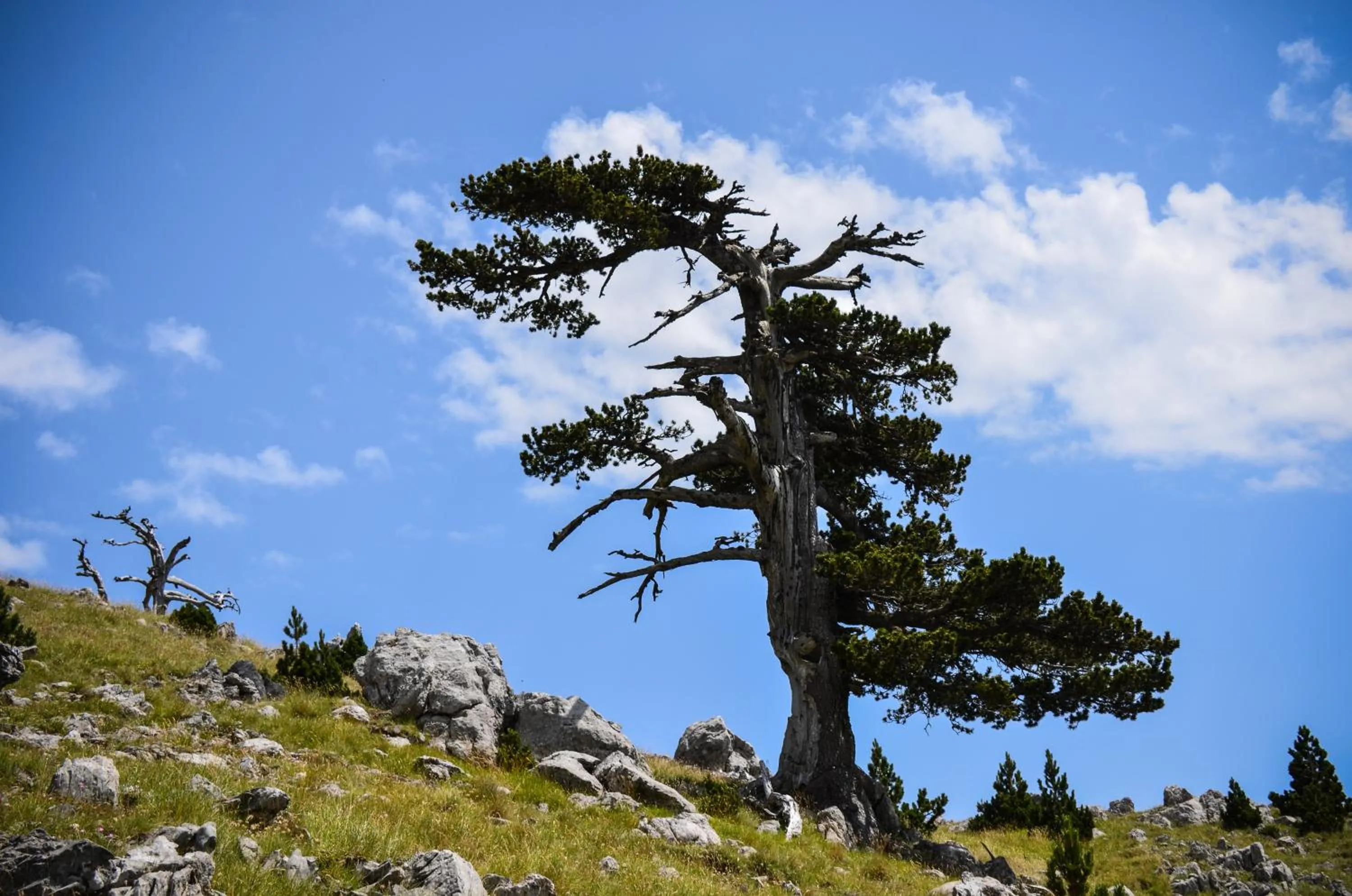 Natural landscape in Bed and breakfast La Sentinella