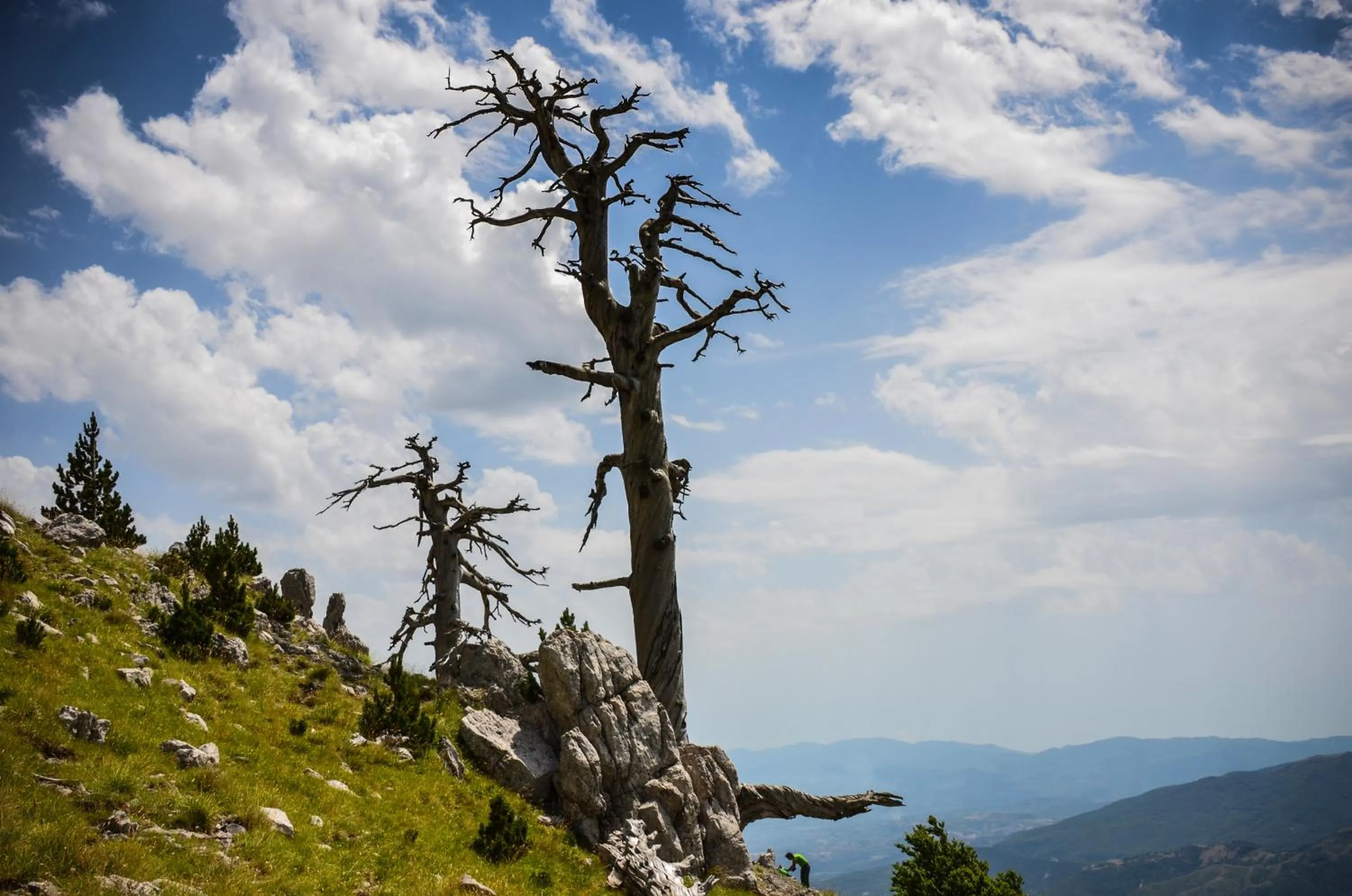Natural landscape in Bed and breakfast La Sentinella