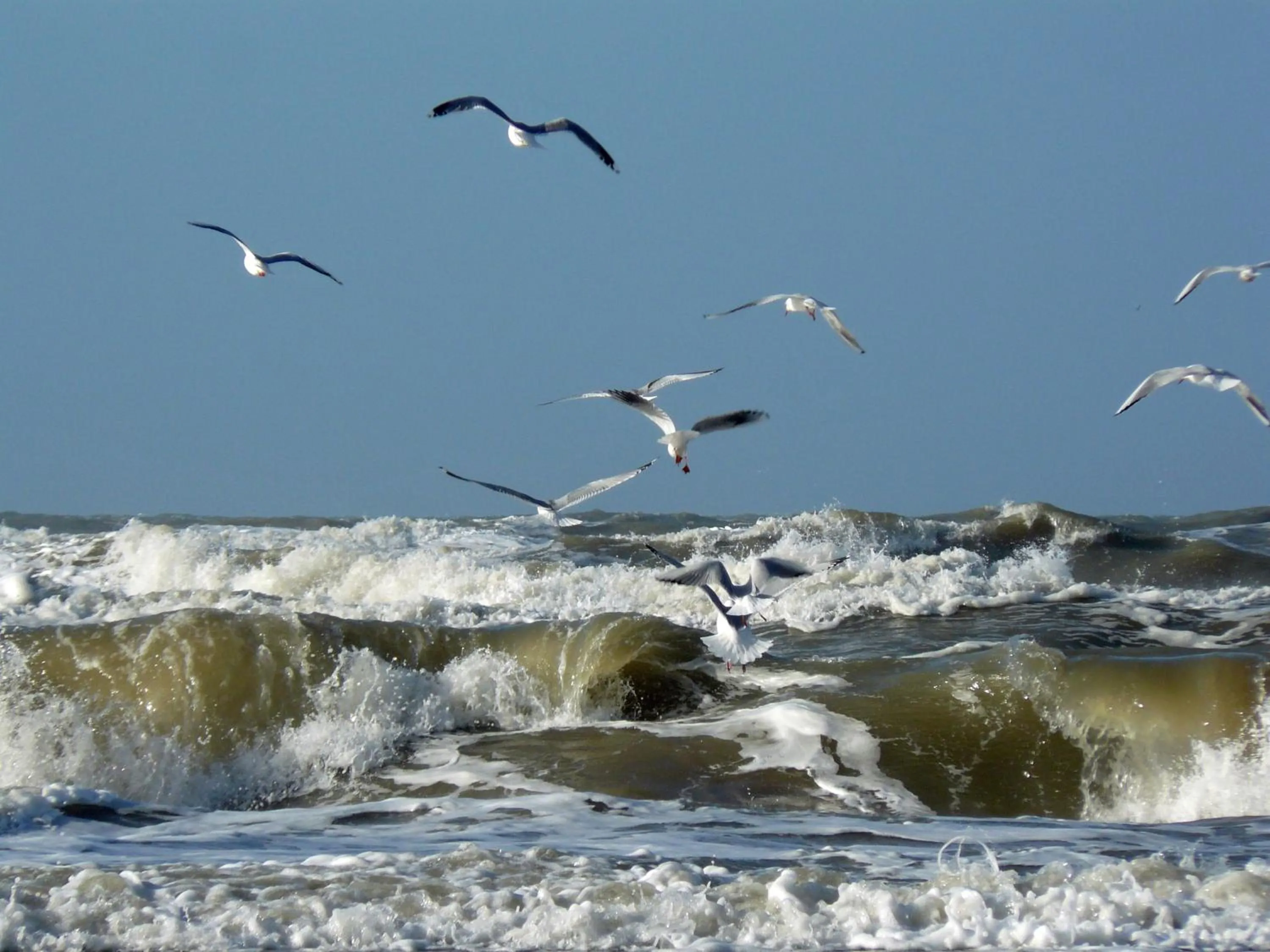 Spring in Hotel De Dennen