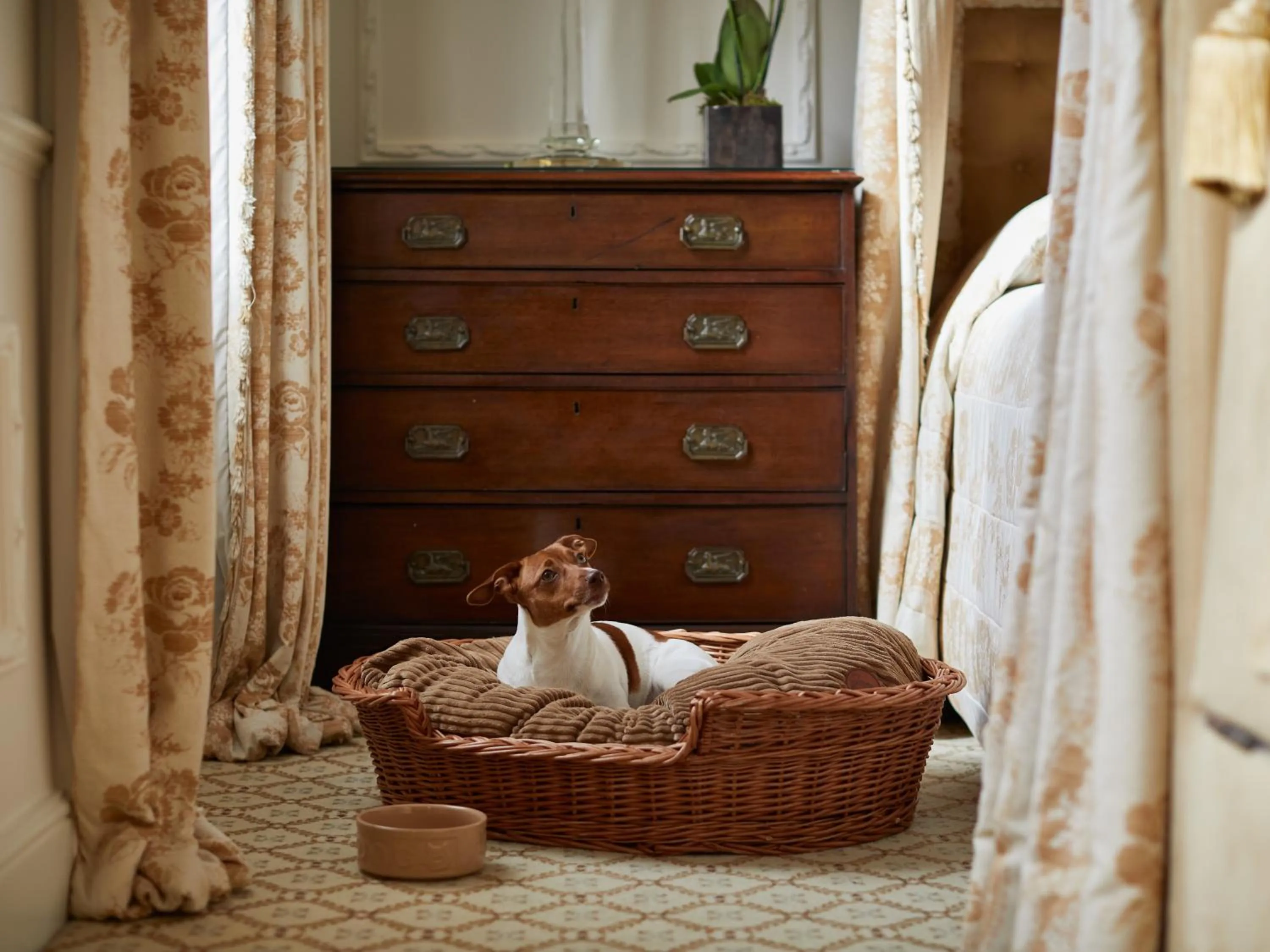 Pets in Egerton House