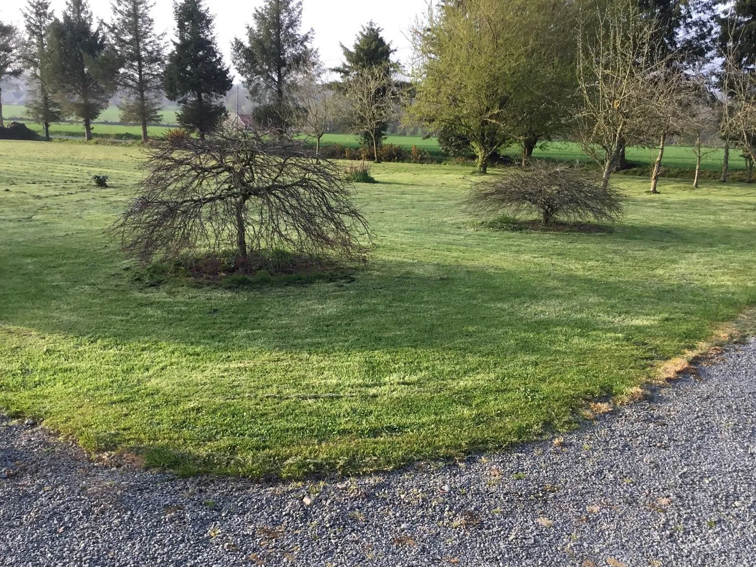 Garden in The Magnolias B&B