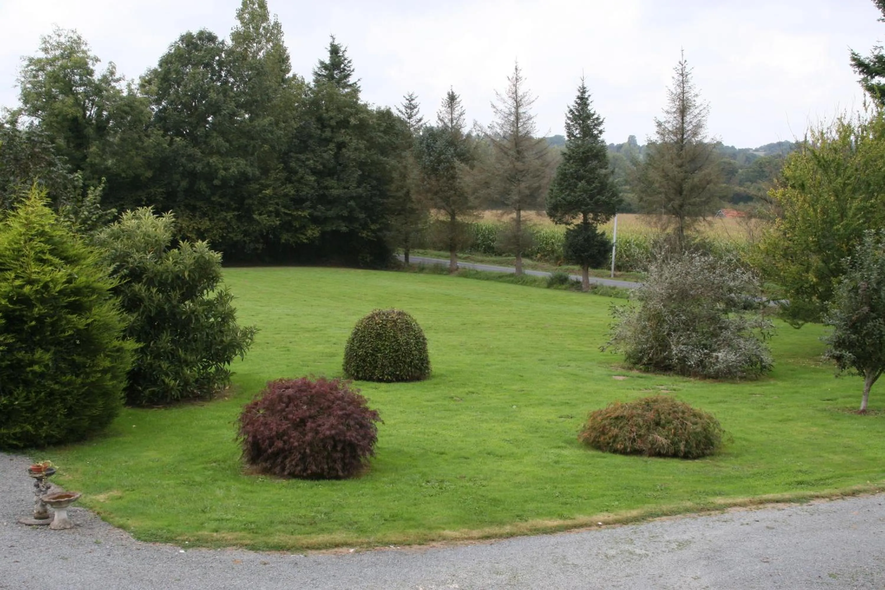 View (from property/room) in The Magnolias B&B