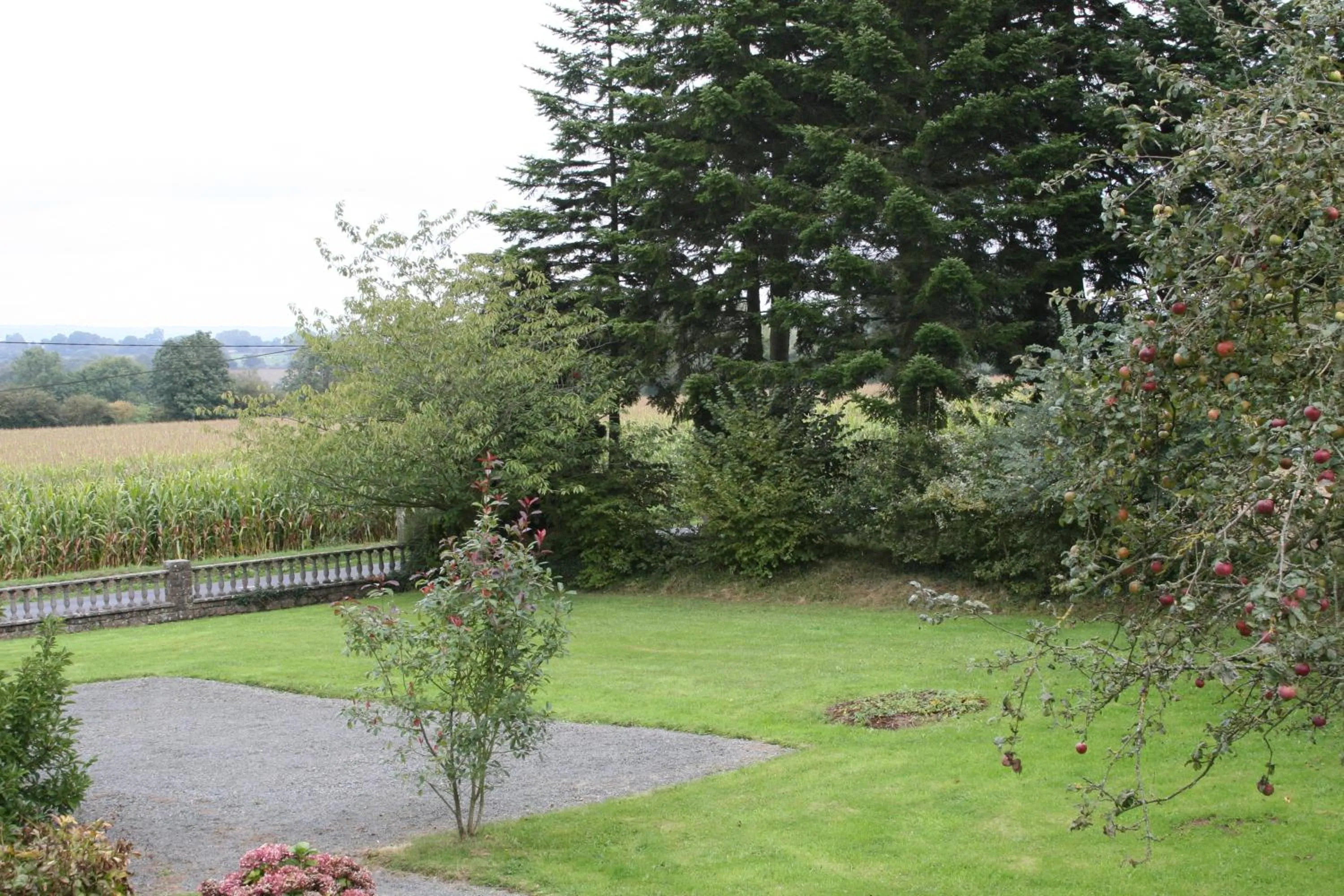 View (from property/room) in The Magnolias B&B