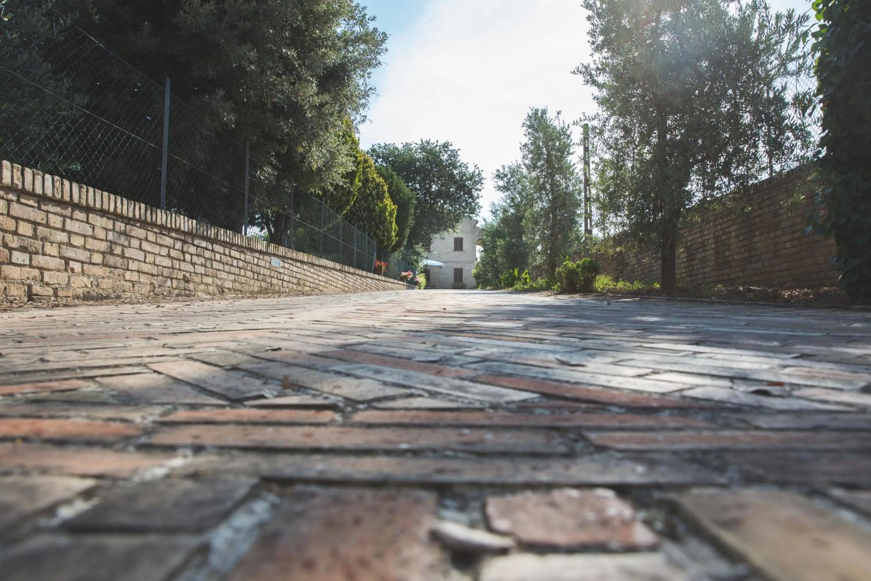 Bed and breakfast Aratro & Rosmarino