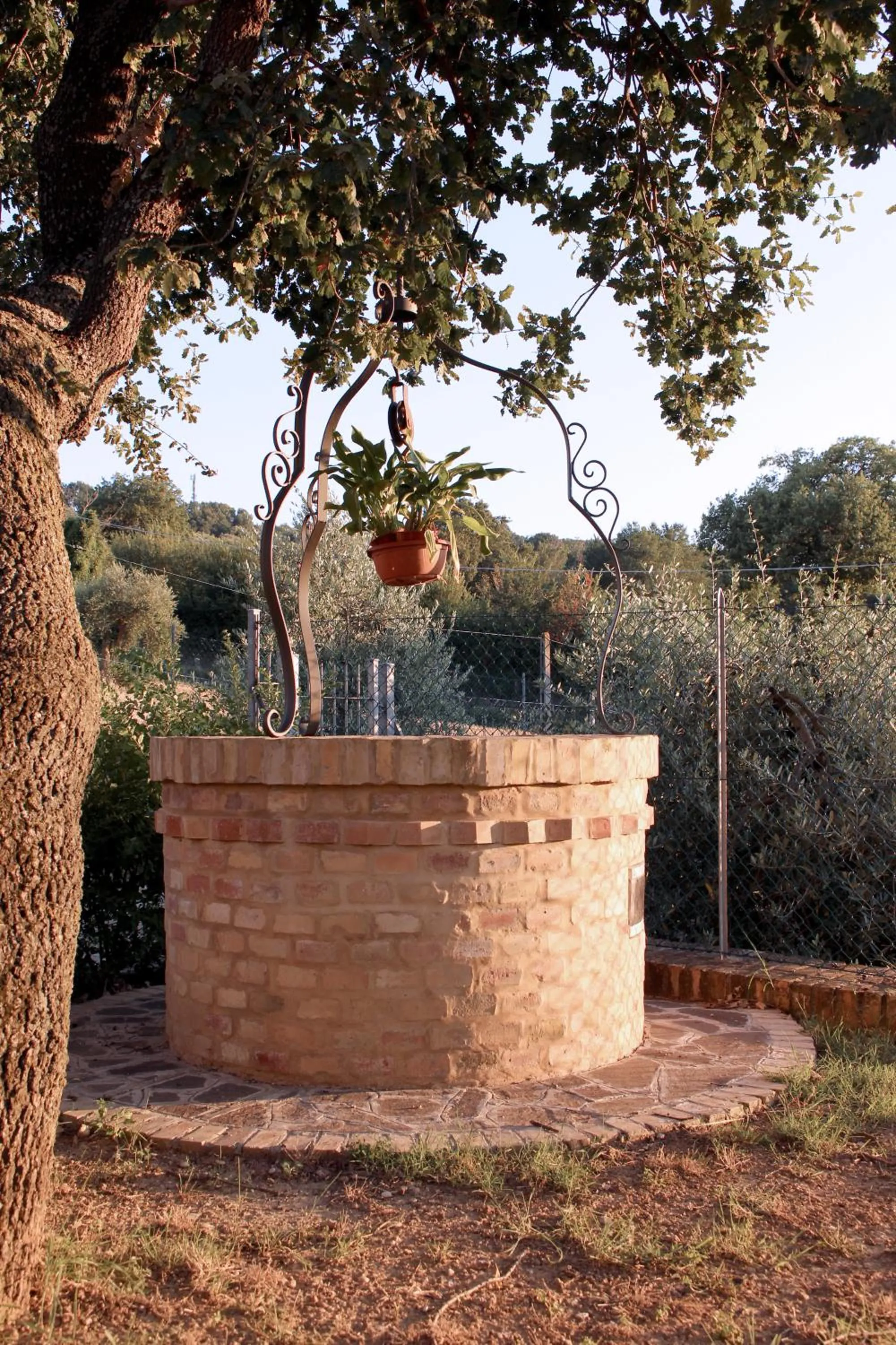 Garden in Bed and breakfast Aratro & Rosmarino