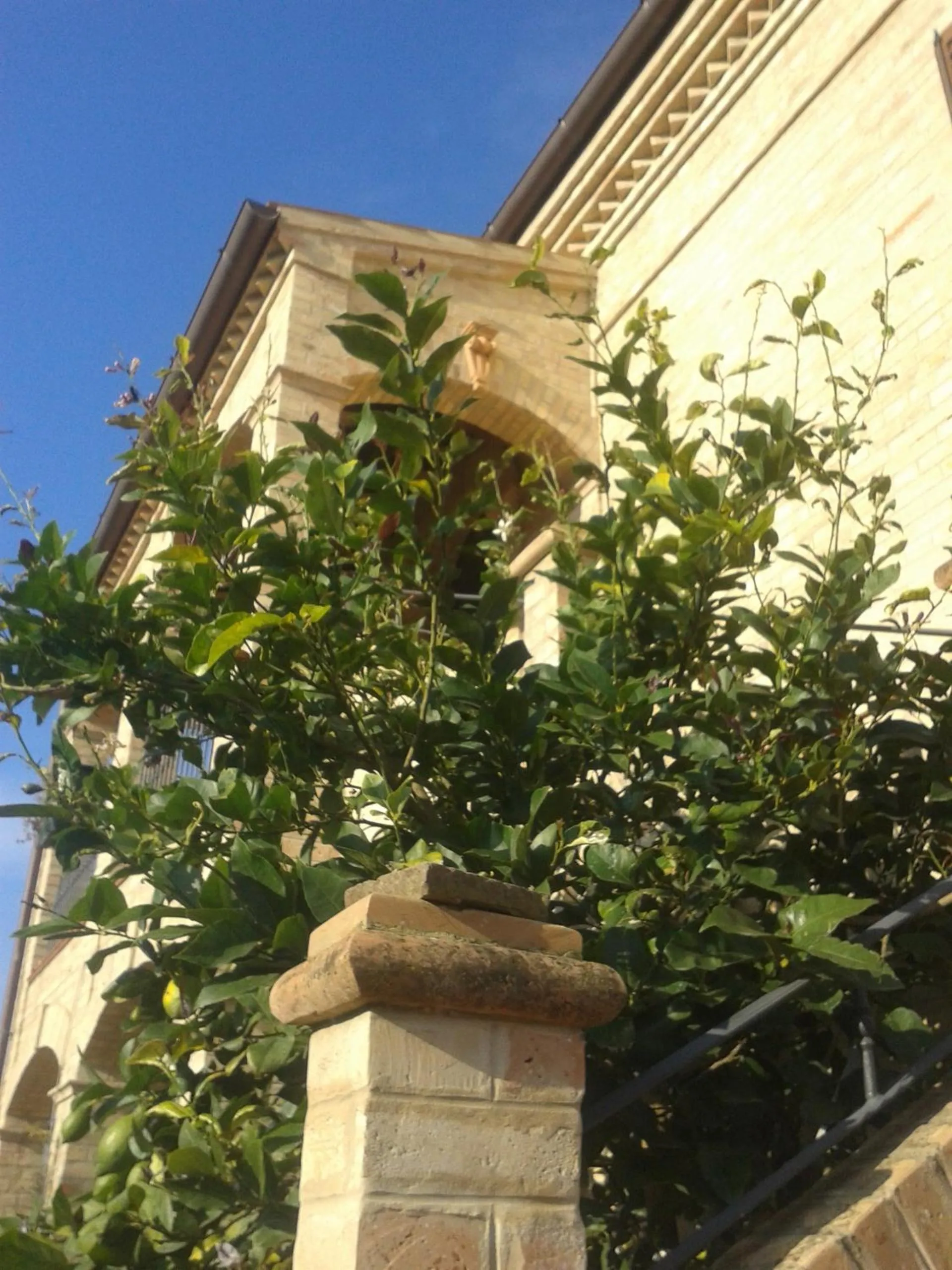 Bed and breakfast Aratro & Rosmarino