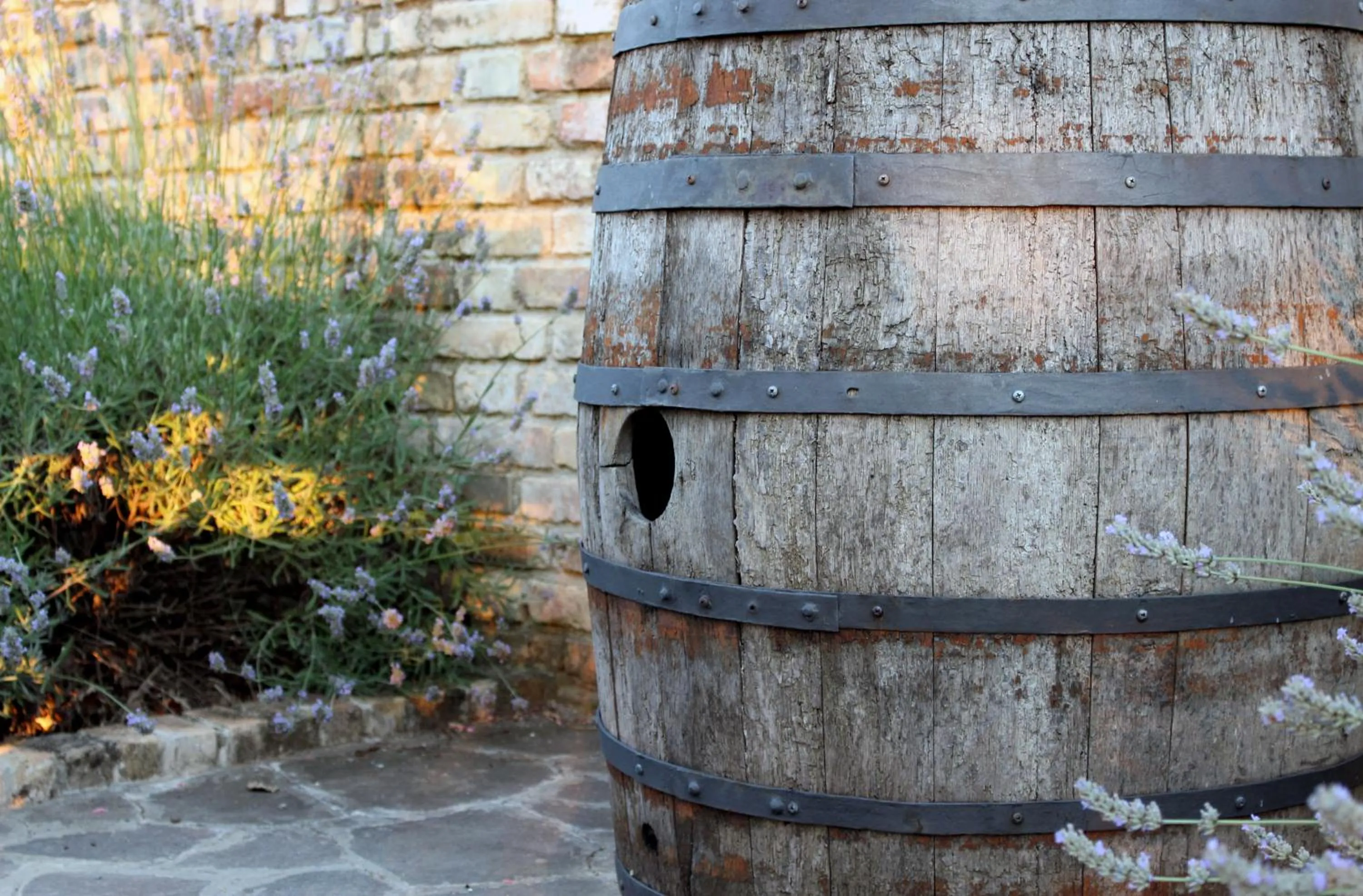 Bed and breakfast Aratro & Rosmarino