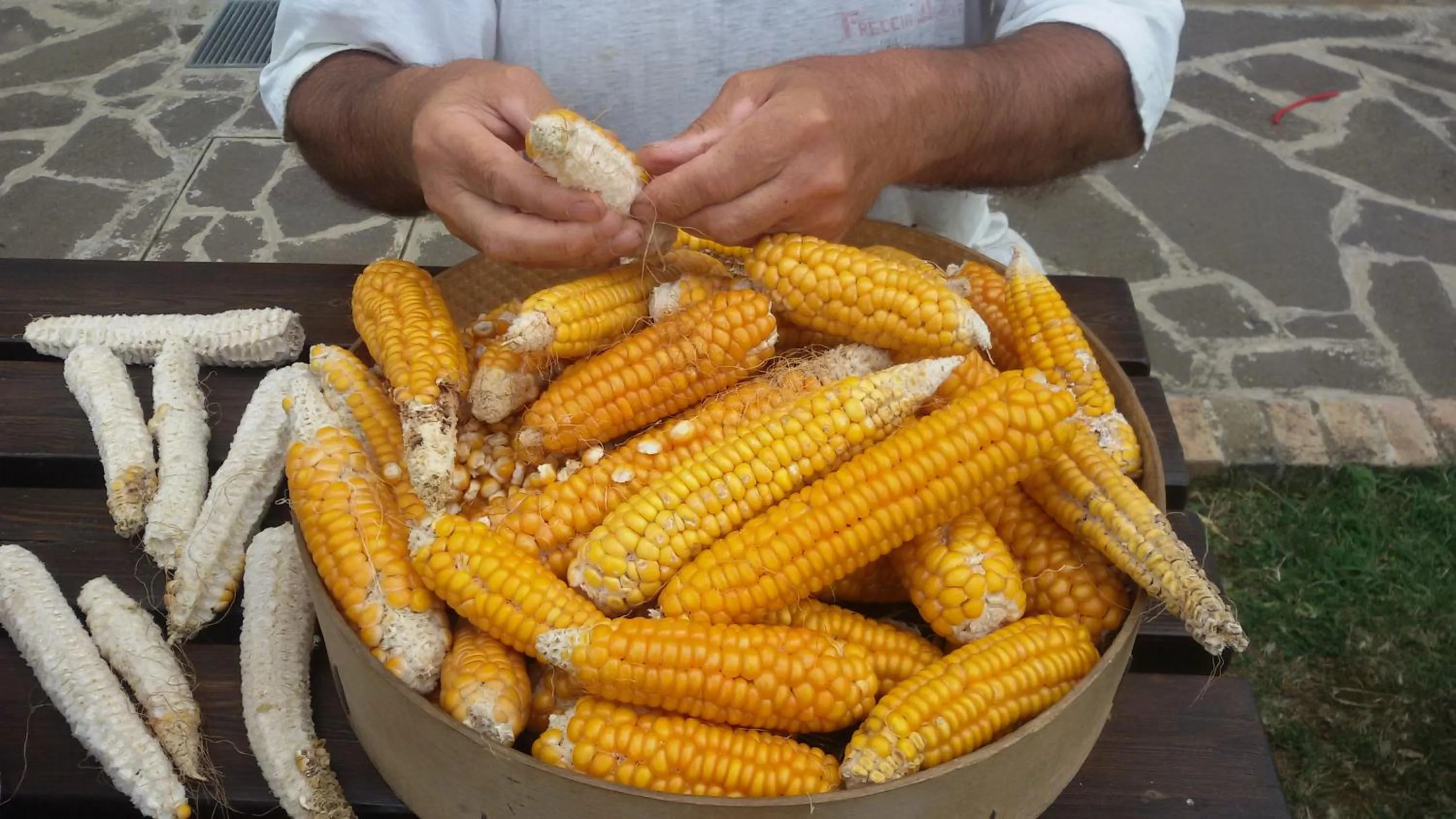 Garden in Bed and breakfast Aratro & Rosmarino