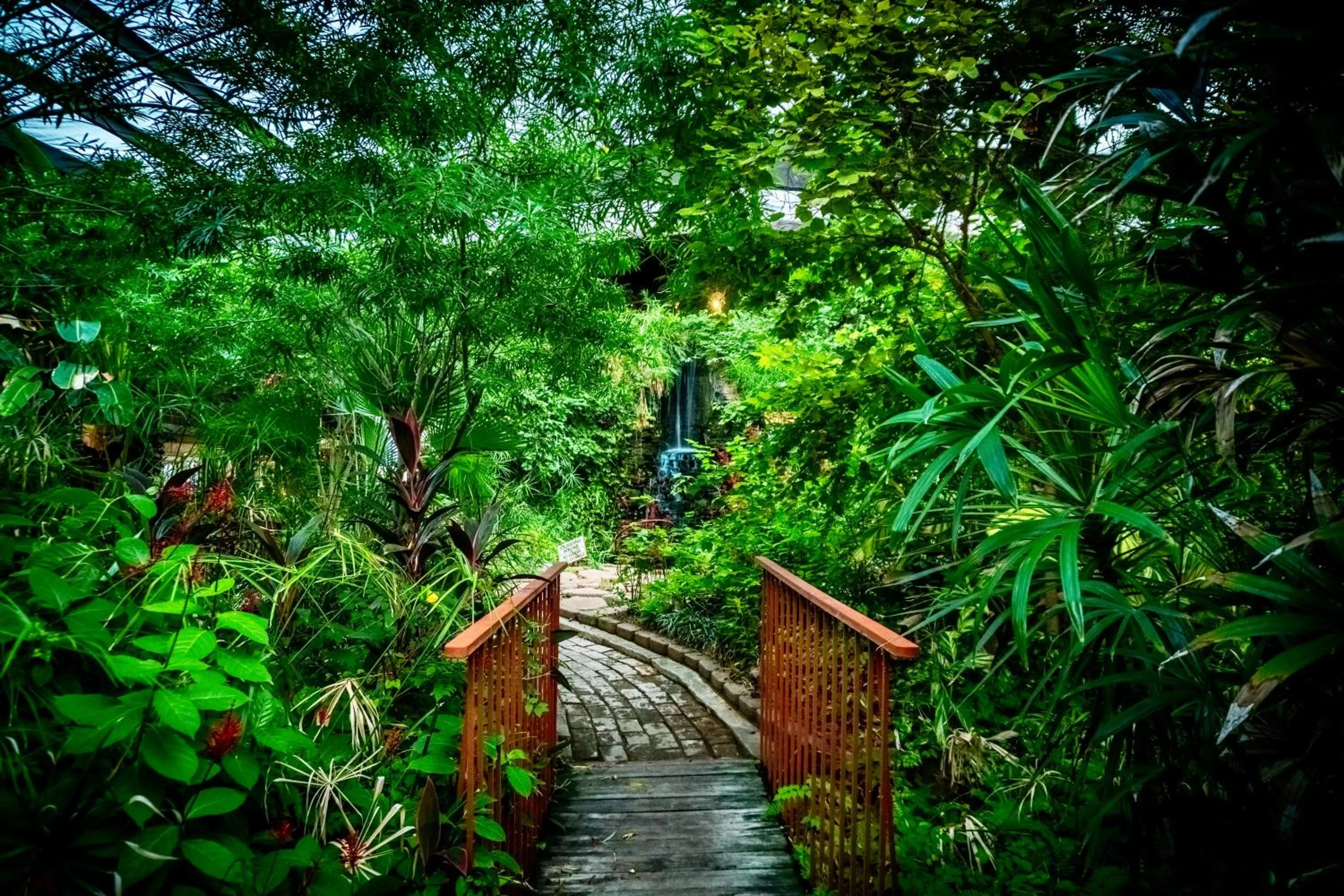 Garden in Family Garden Inn & Suites