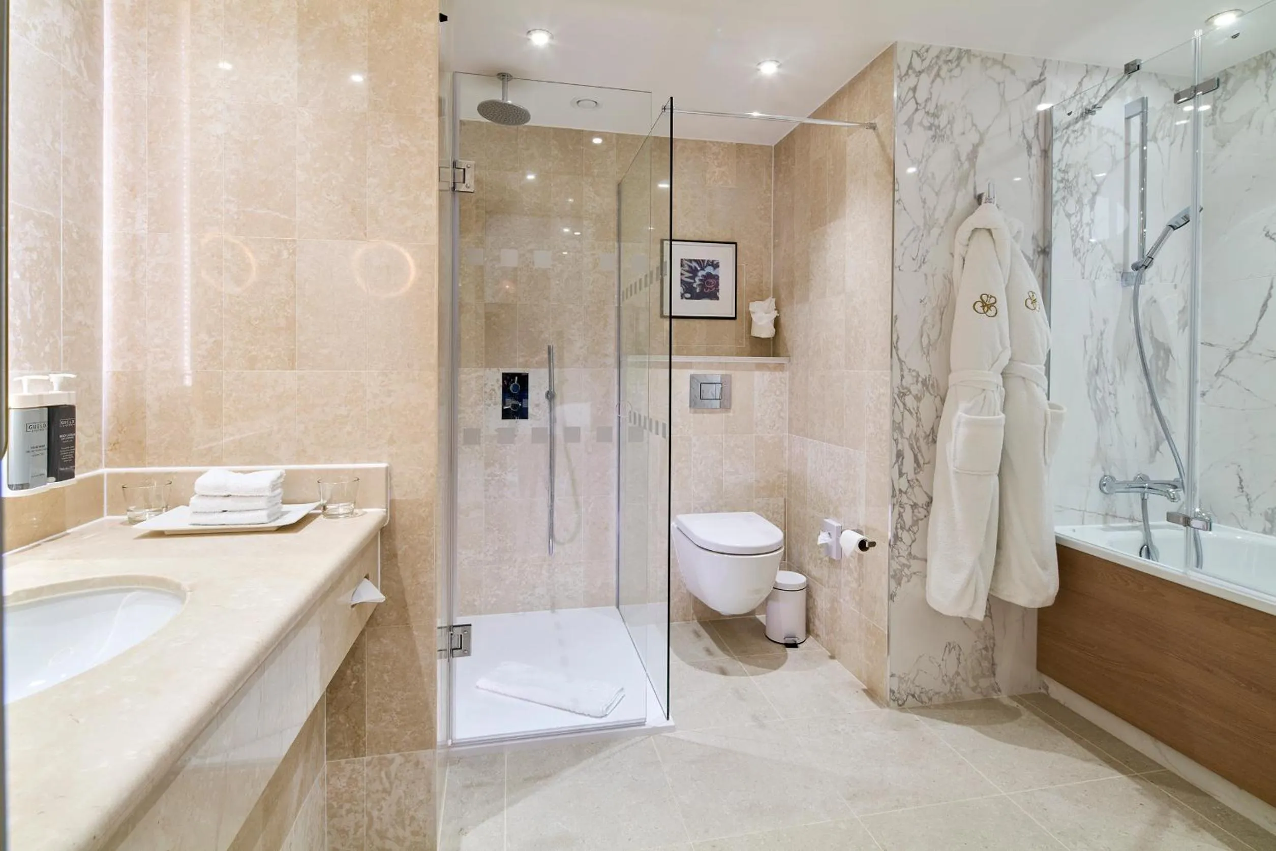 Shower in The Rembrandt