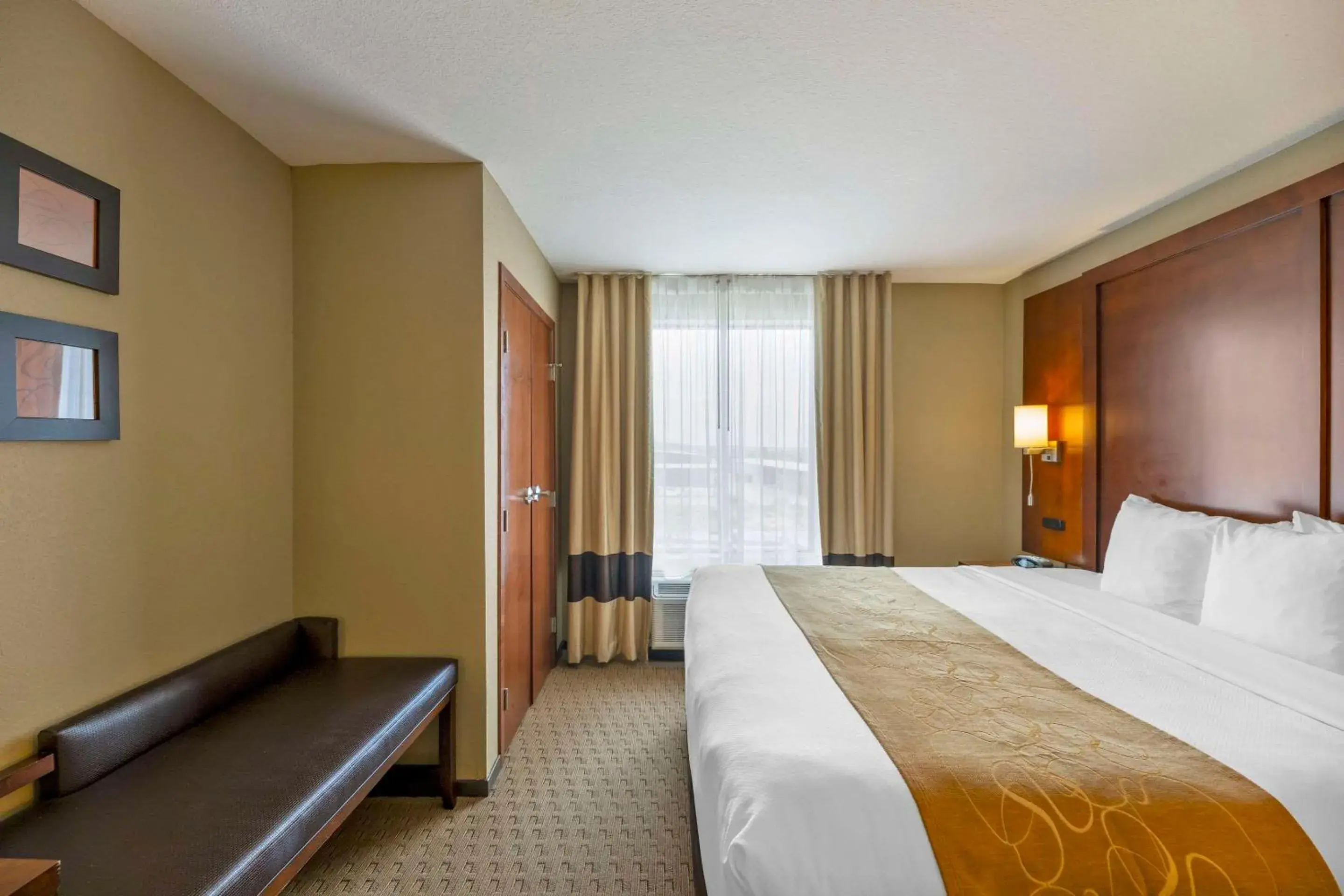 Bedroom, Bed in Comfort Suites Carlsbad Bedroom, Bed in Comfort Suites Carlsbad