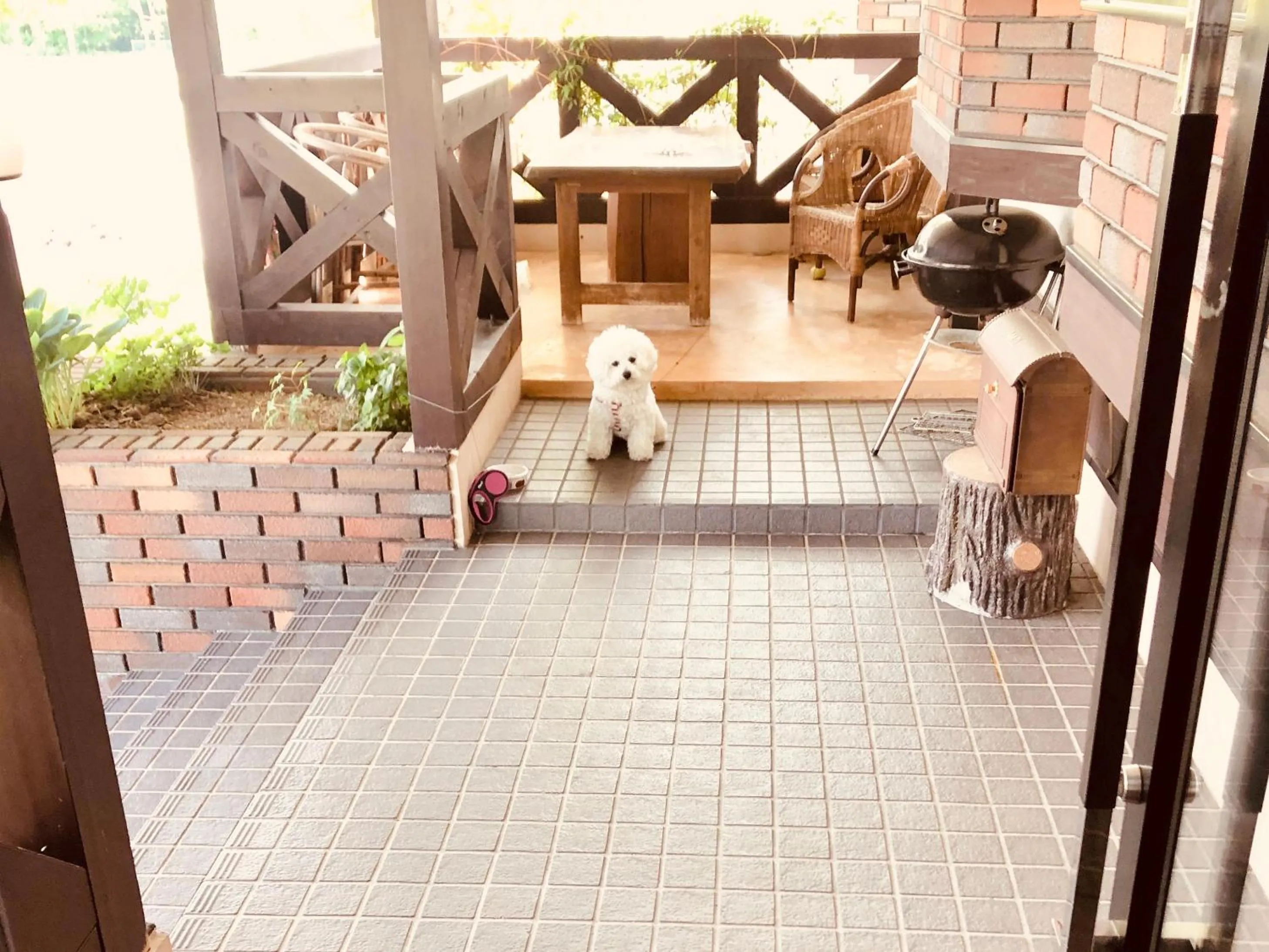 Property building in Appi Life is Beautiful