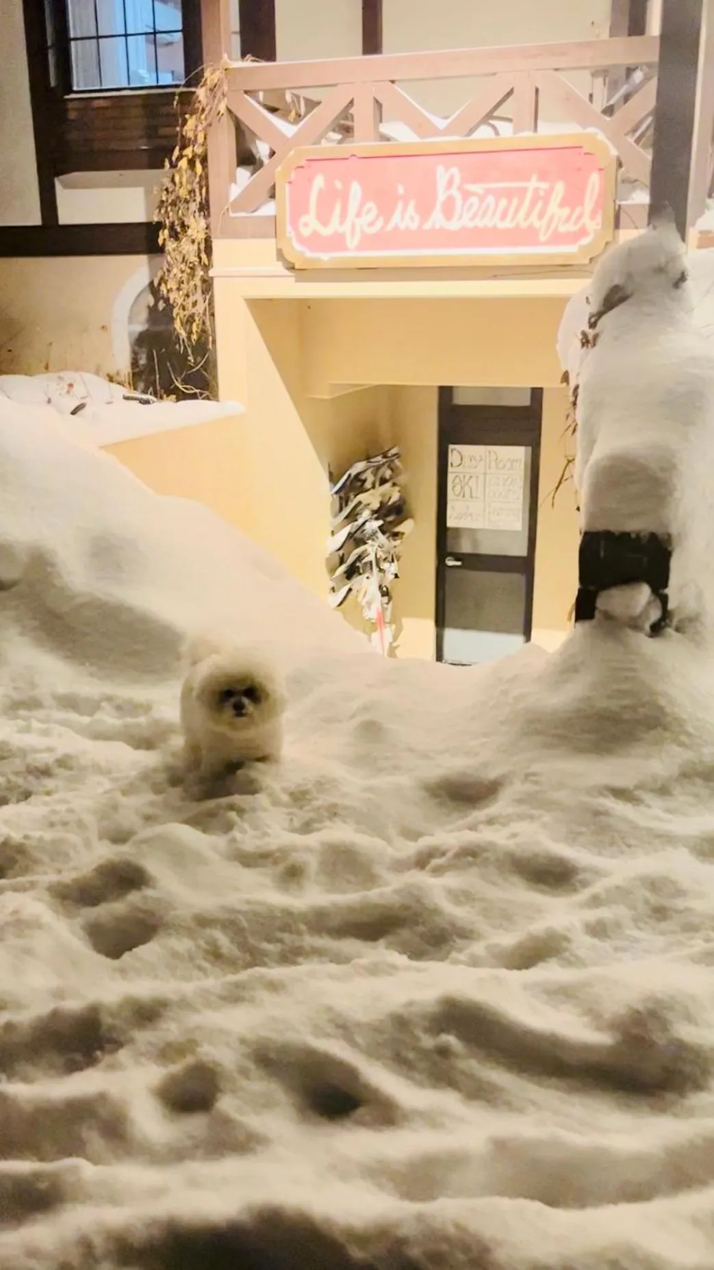 Appi Life is Beautiful