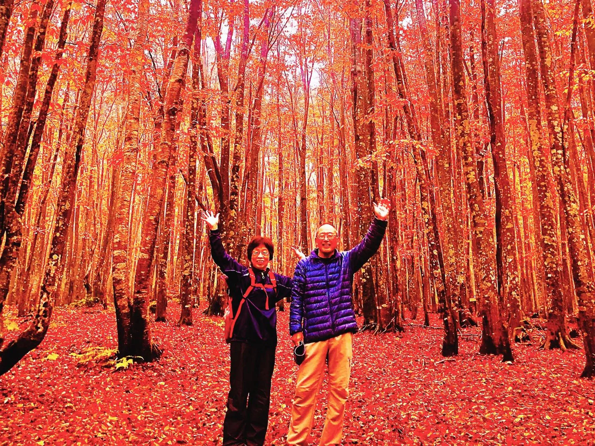 Autumn in Appi Life is Beautiful