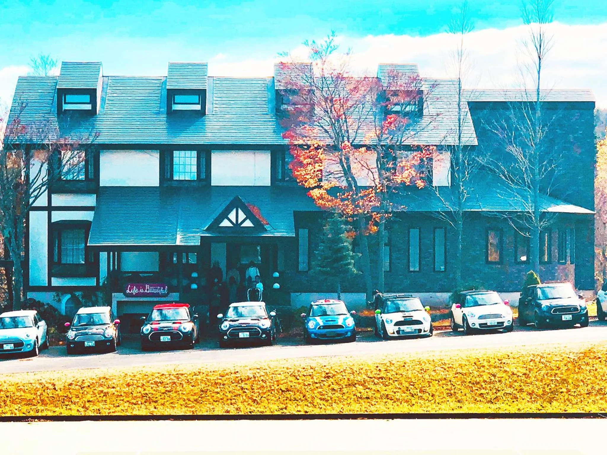 Property building in Appi Life is Beautiful