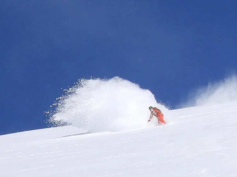 Appi Life is Beautiful