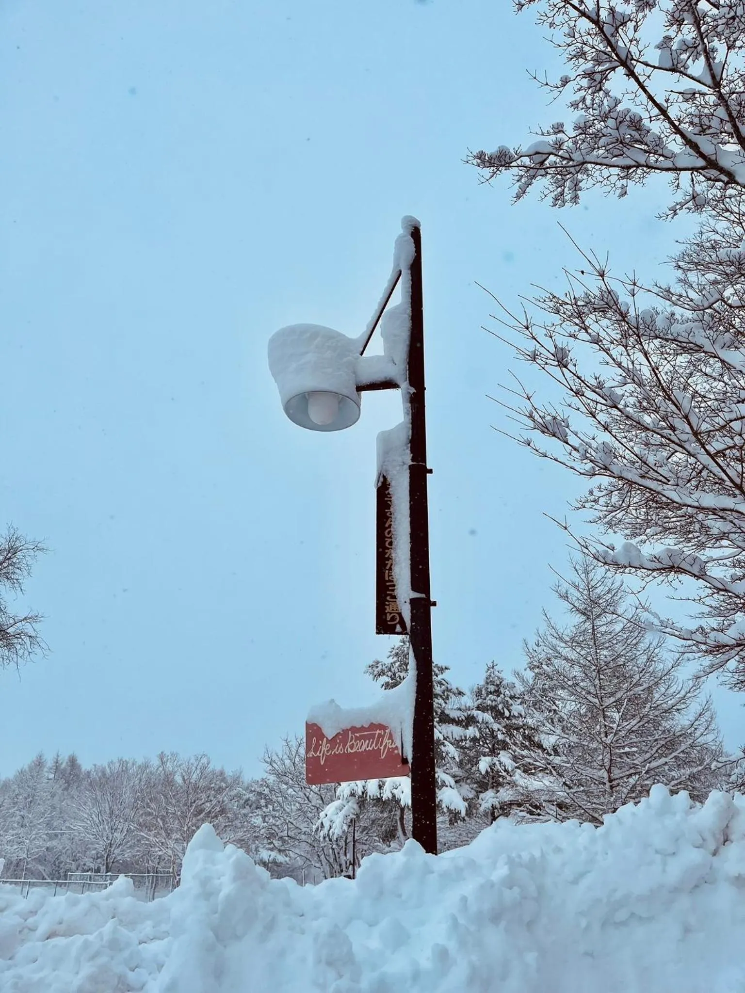 Appi Life is Beautiful