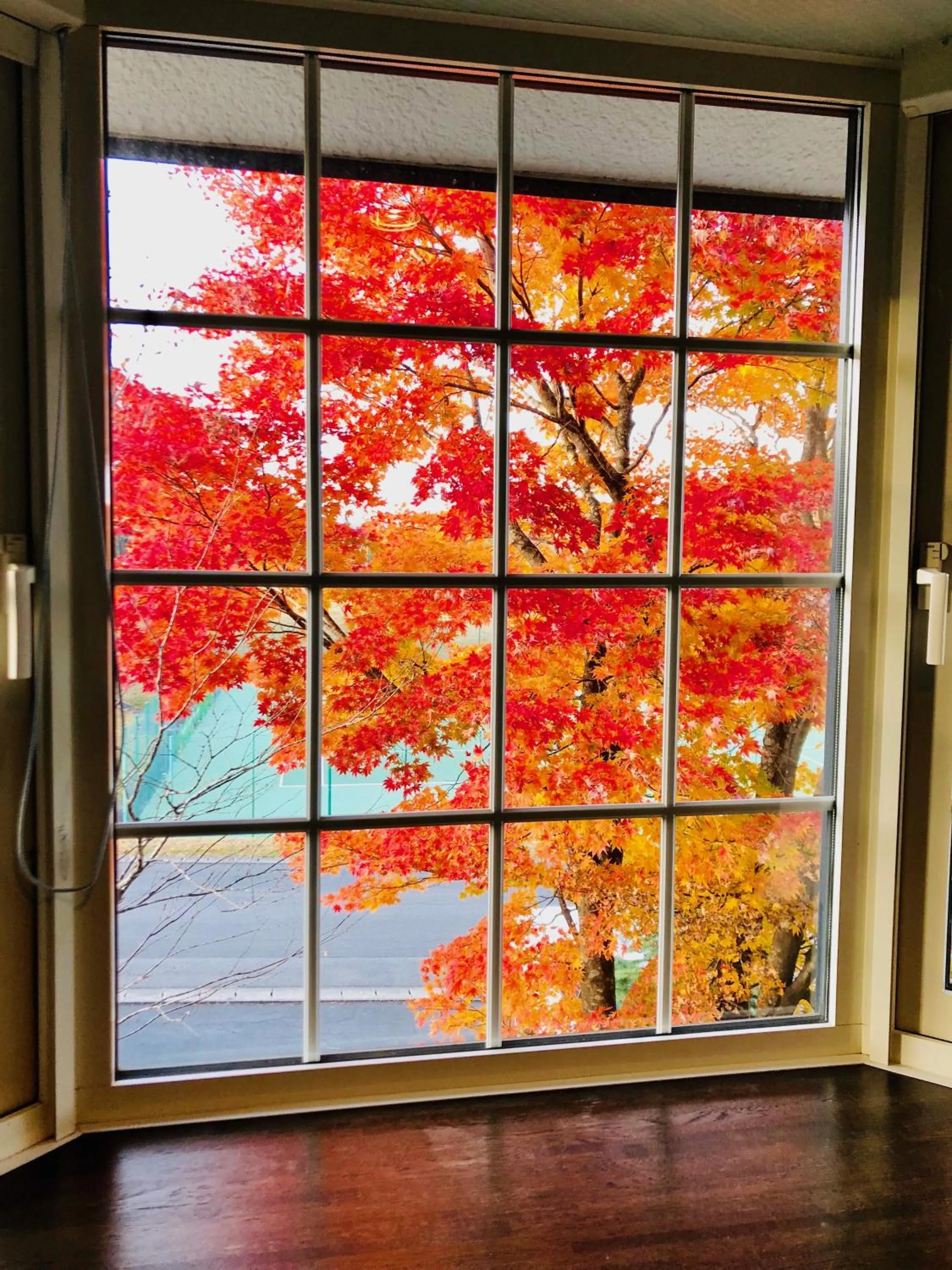 View (from property/room) in Appi Life is Beautiful