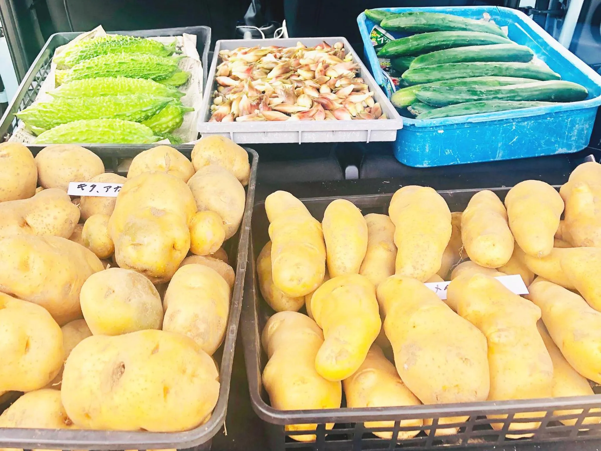 Restaurant/places to eat in Appi Life is Beautiful