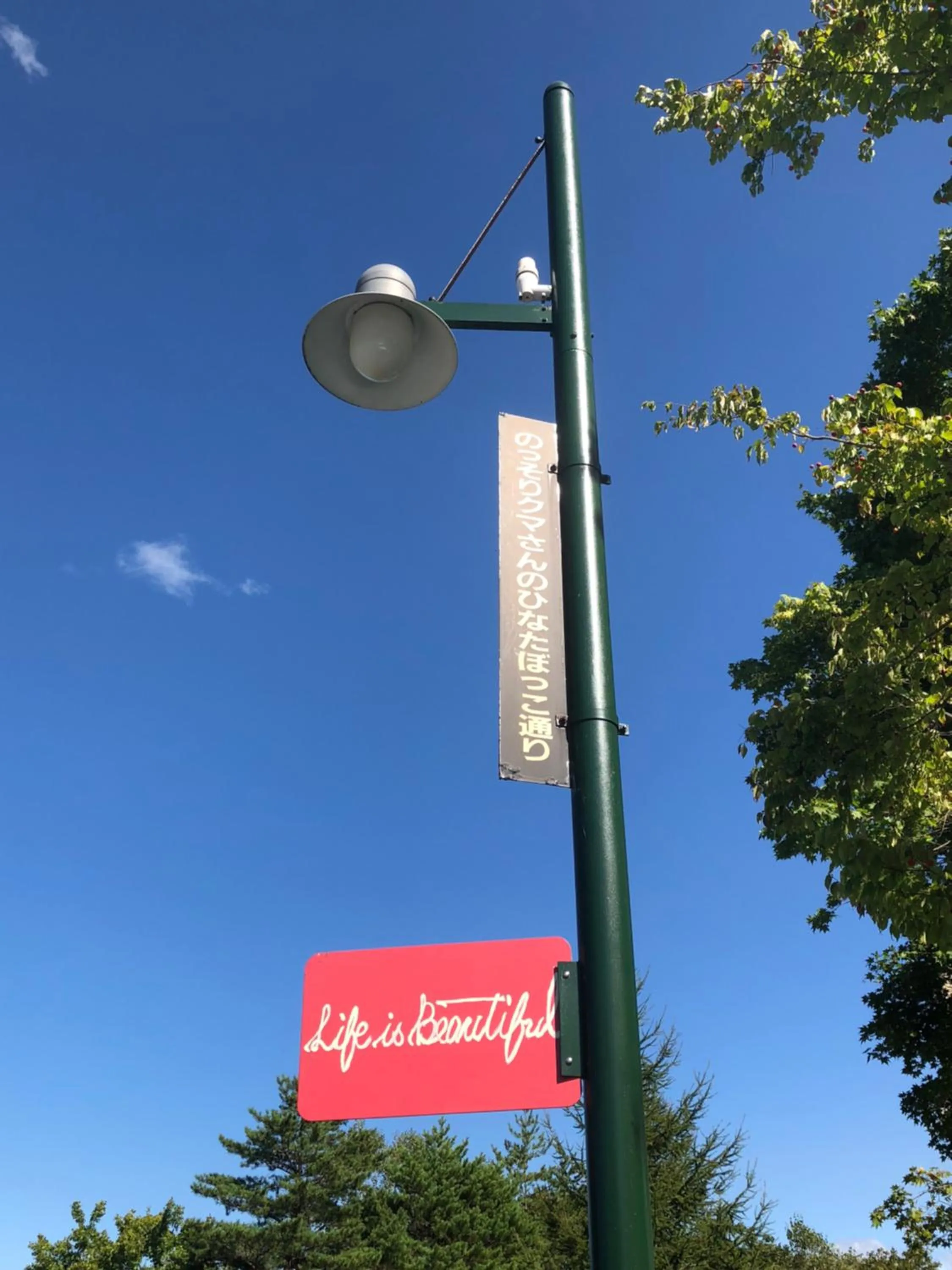 Property logo or sign in Appi Life is Beautiful