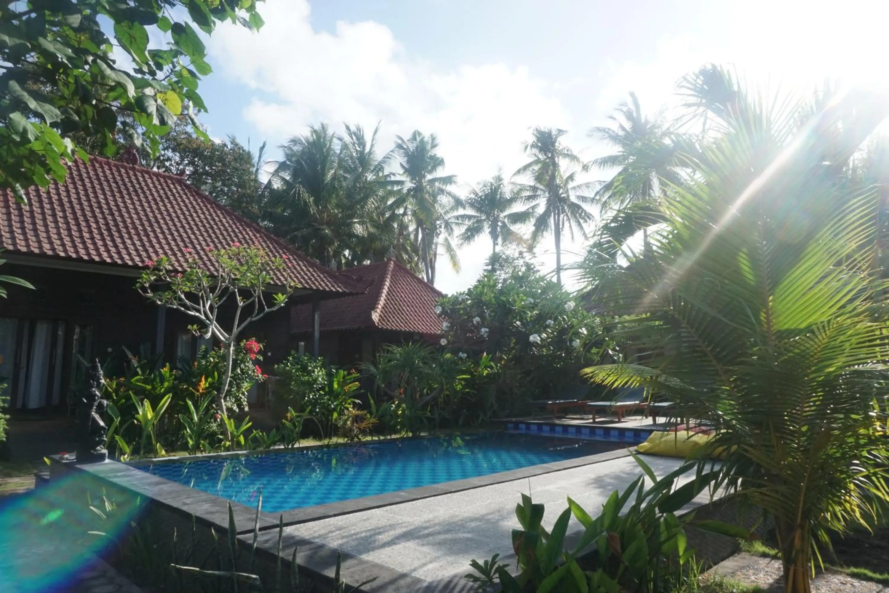 Swimming pool in Nyoman Guesthouse and Grill