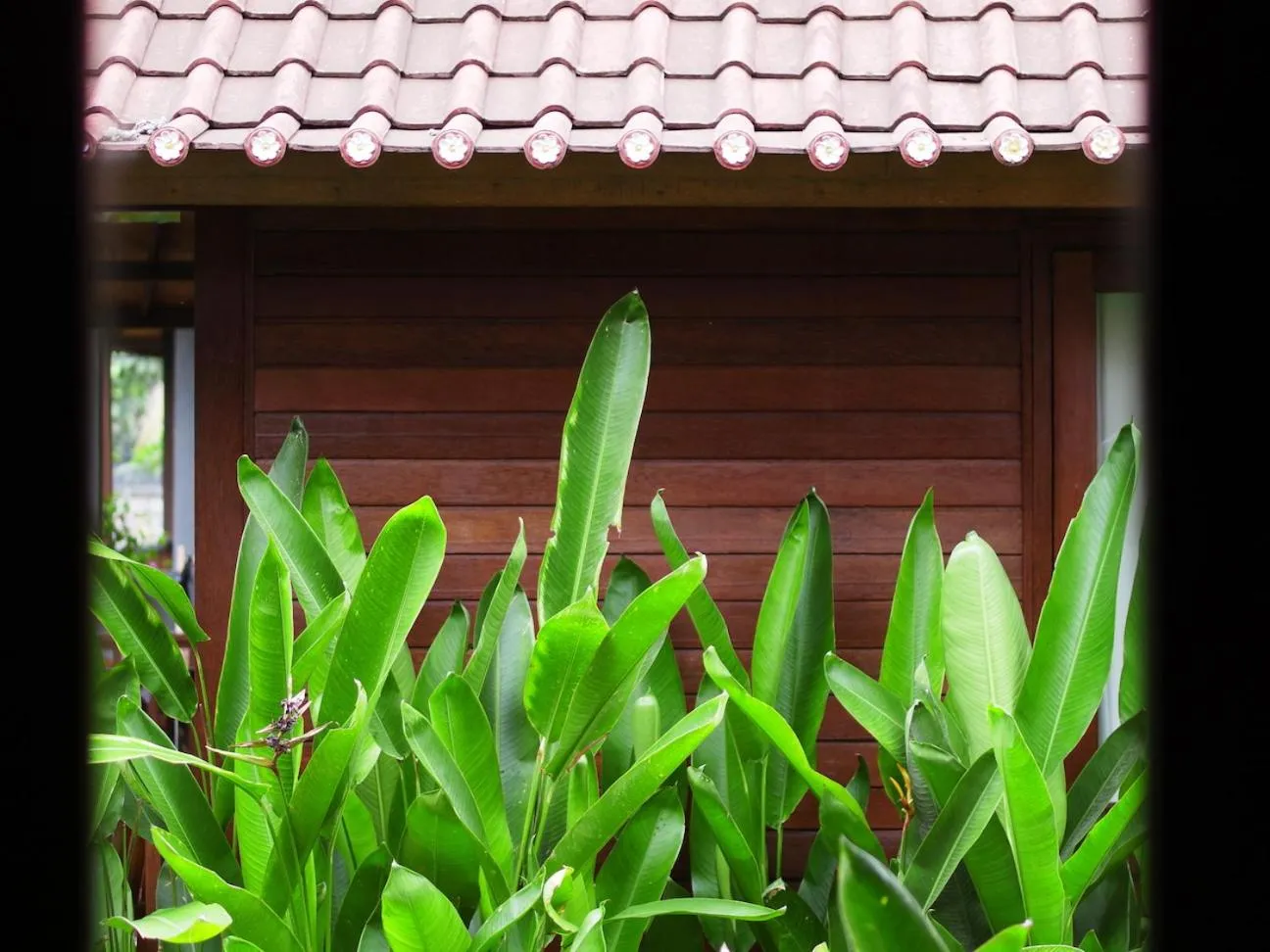 Property building in Nyoman Guesthouse and Grill