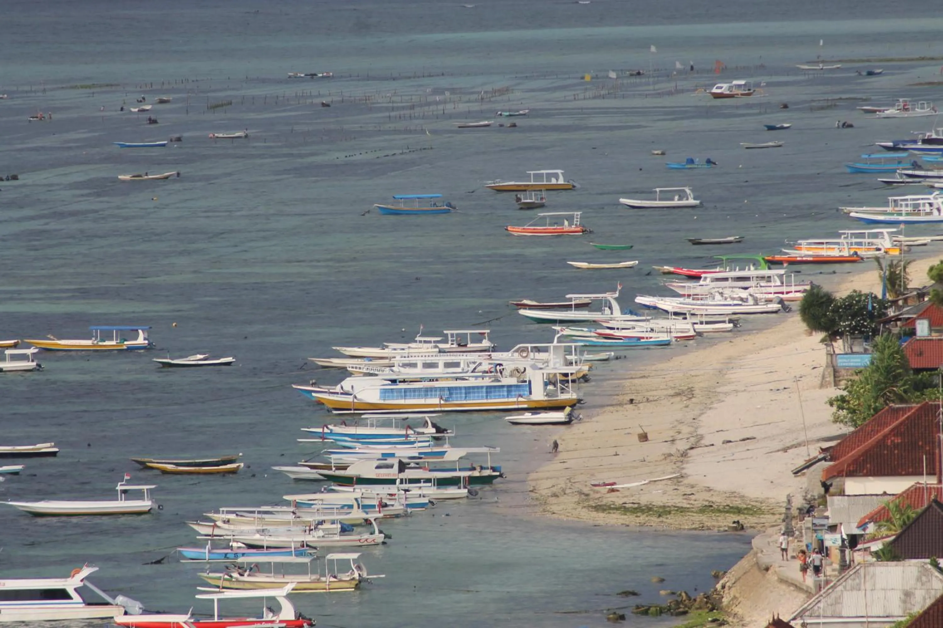 Fishing in Nyoman Guesthouse and Grill