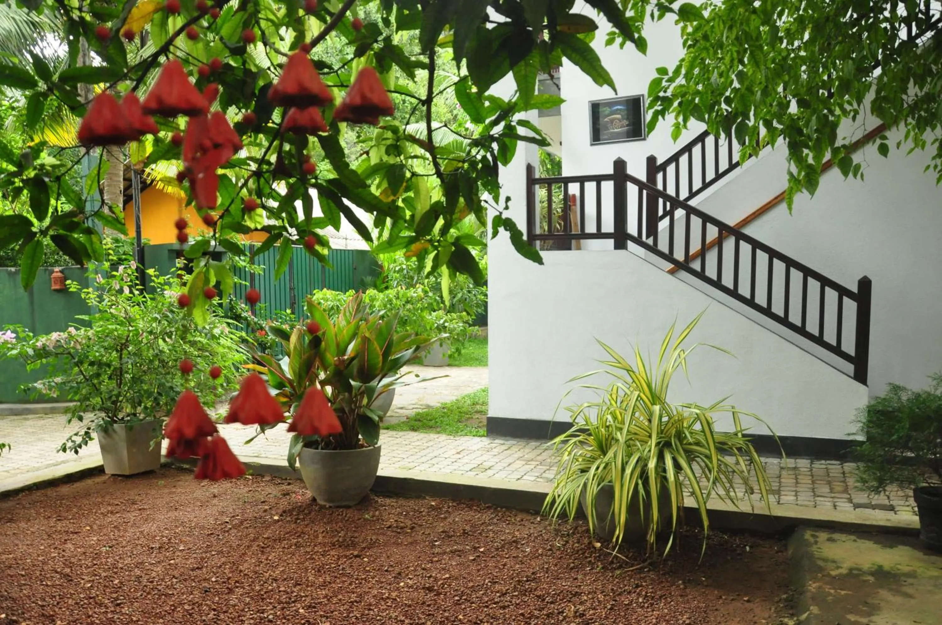 Garden in Green Villa Unawatuna