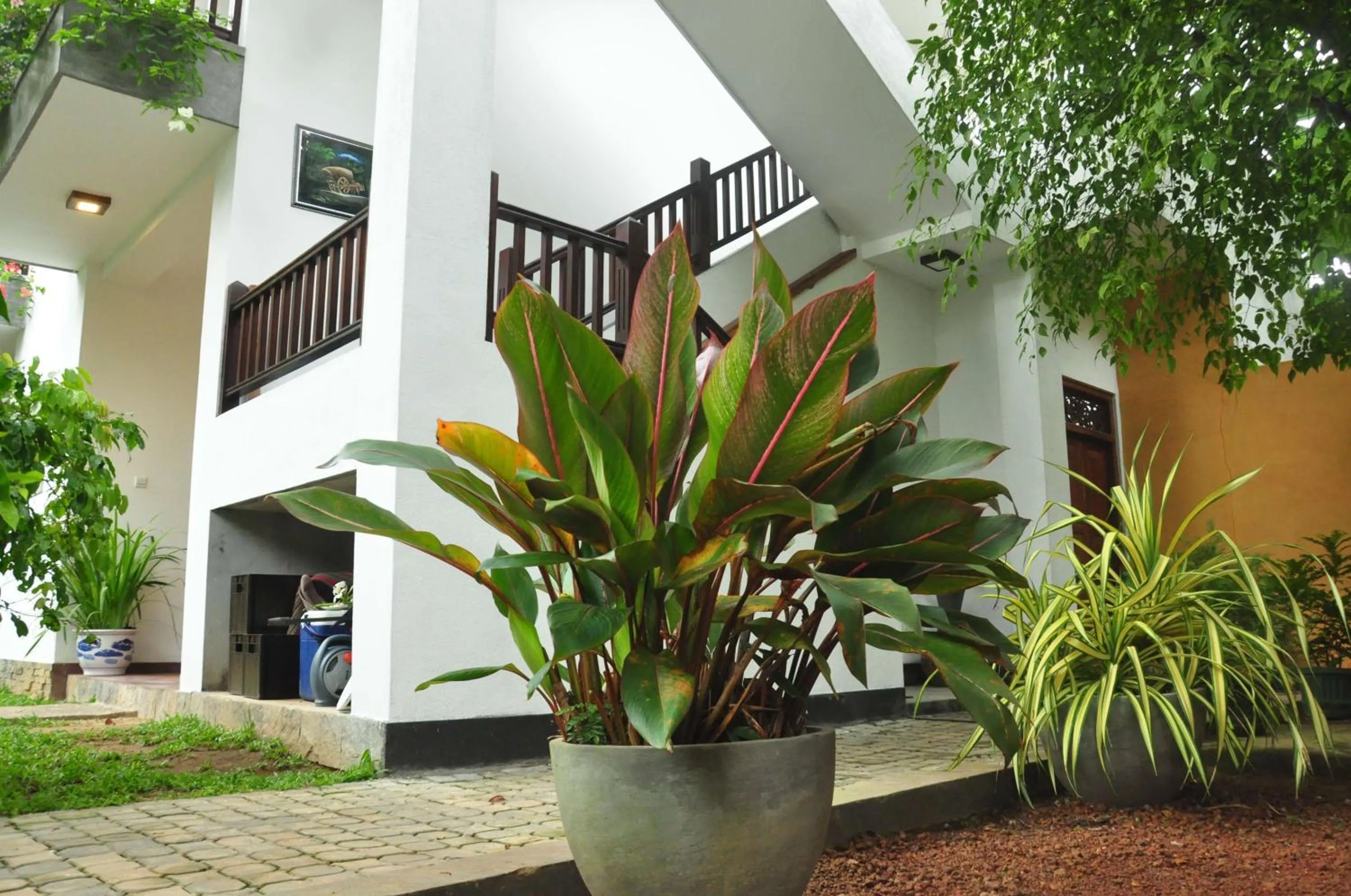 Garden in Green Villa Unawatuna