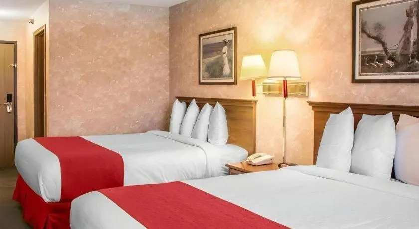 Bed in Econo Lodge Longmont East