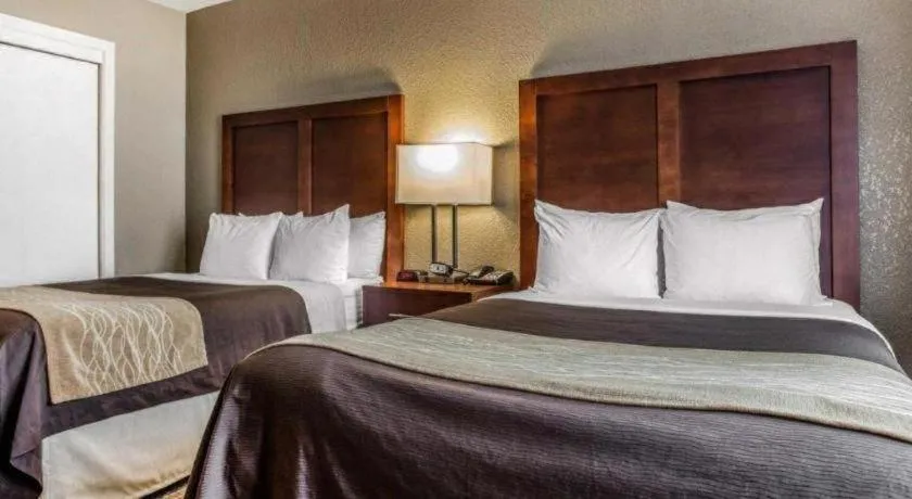 Bed in Comfort Inn & Suites