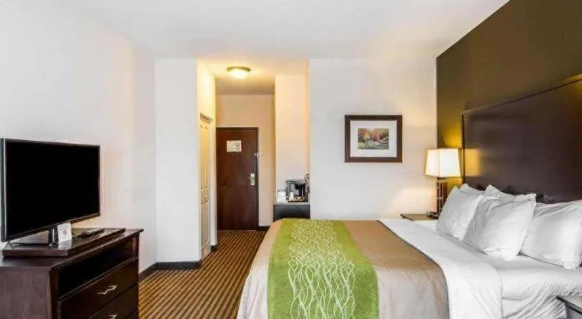 Bed in Comfort Inn & Suites Alva