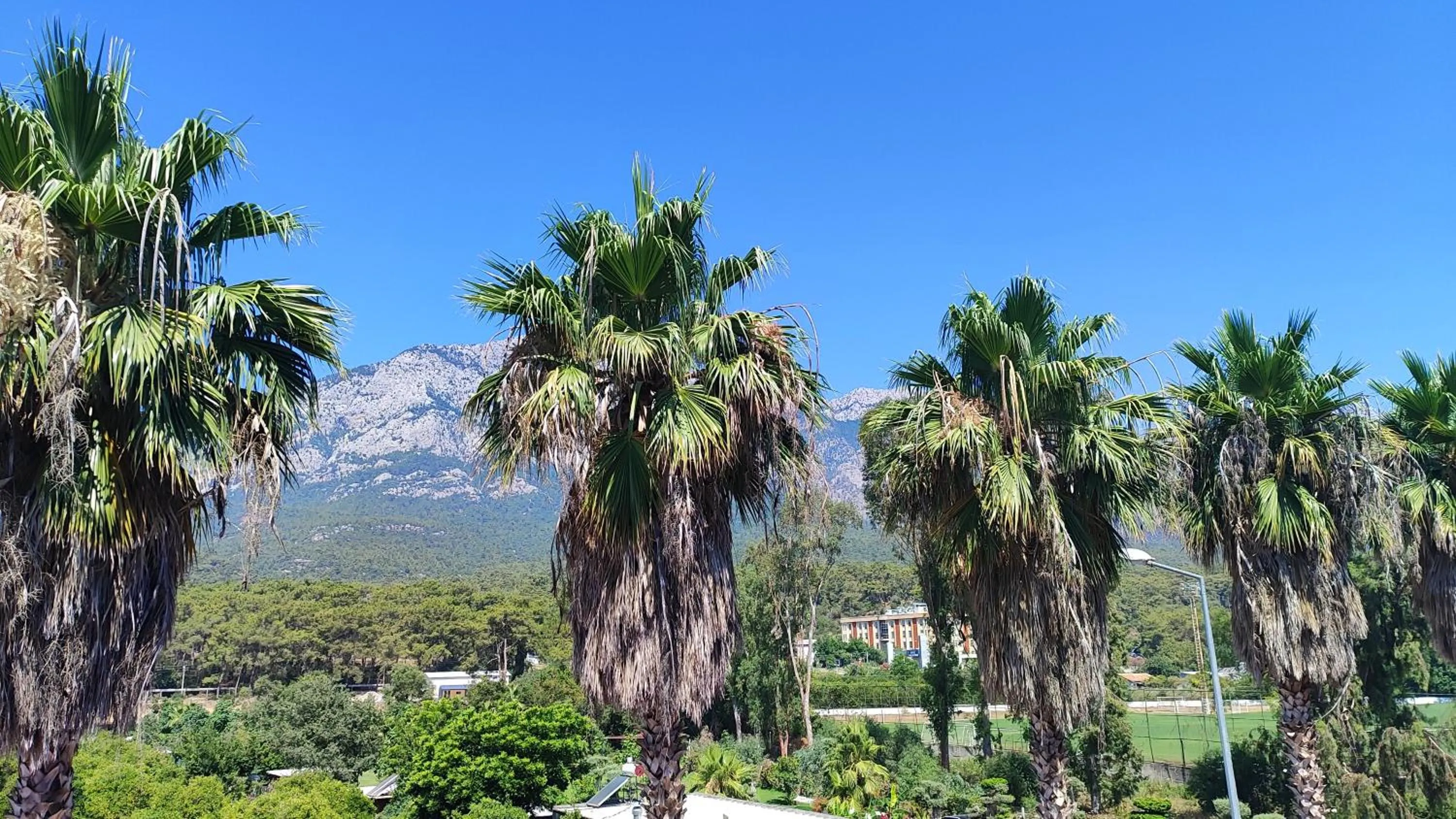 Superior King Room in Dedeman Kemer Resort - Ultra All Inclusive