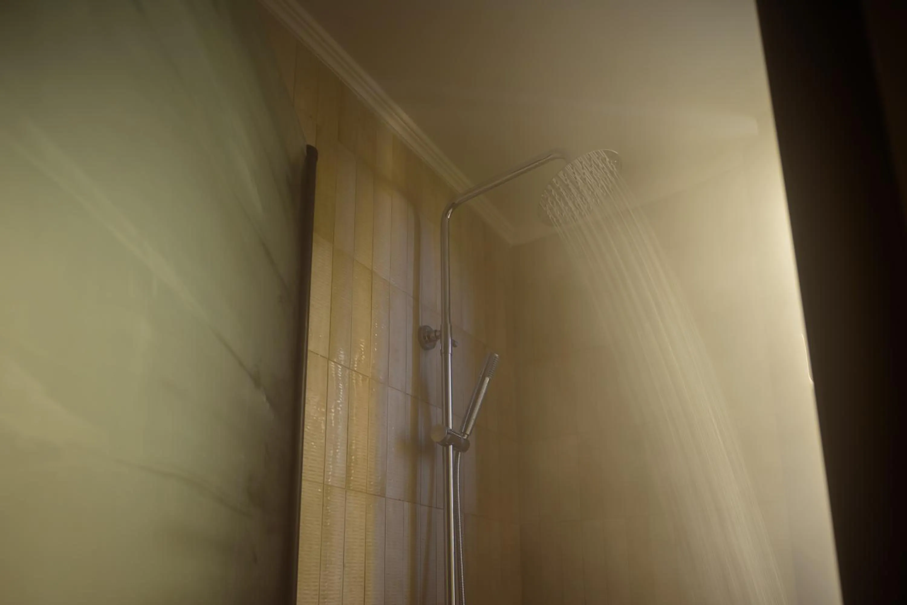 Shower in Arthur Suites in Old Town