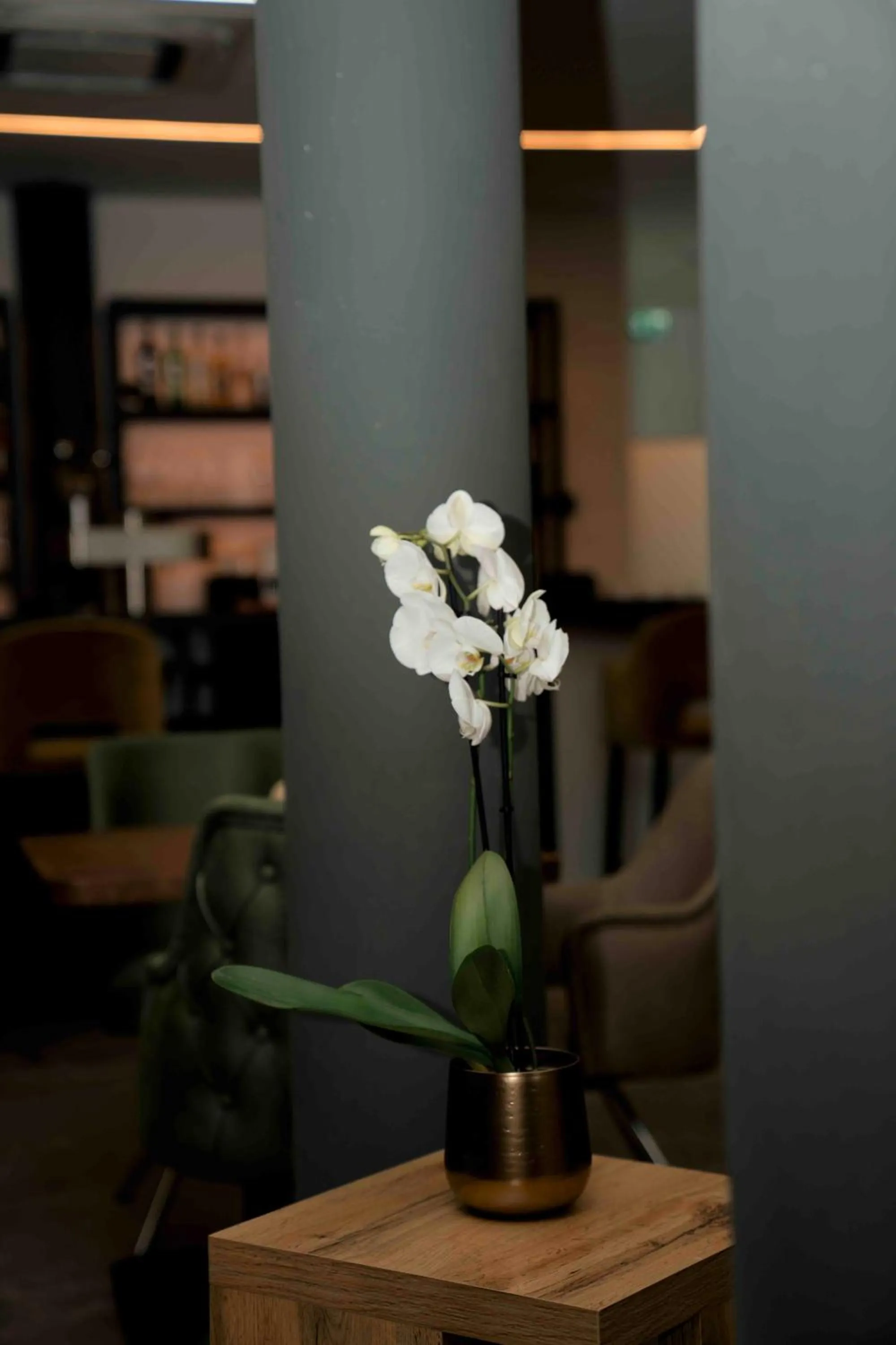 Restaurant/places to eat in Central Hotel & Lounge Adult Only