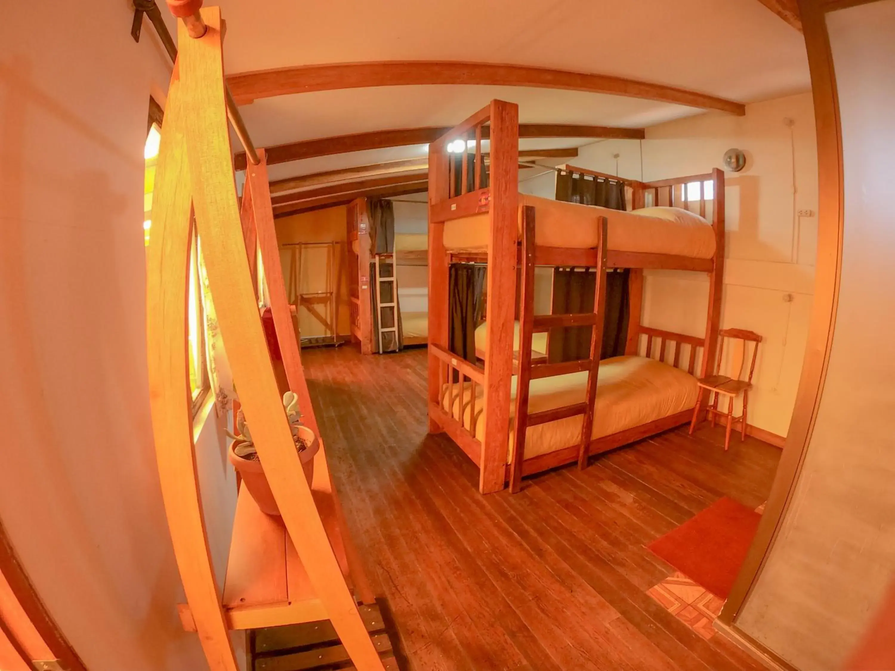 Single Bed in Mixed Dormitory Room in Anata Hostal Single Bed in Mixed Dormitory Room in Anata Hostal