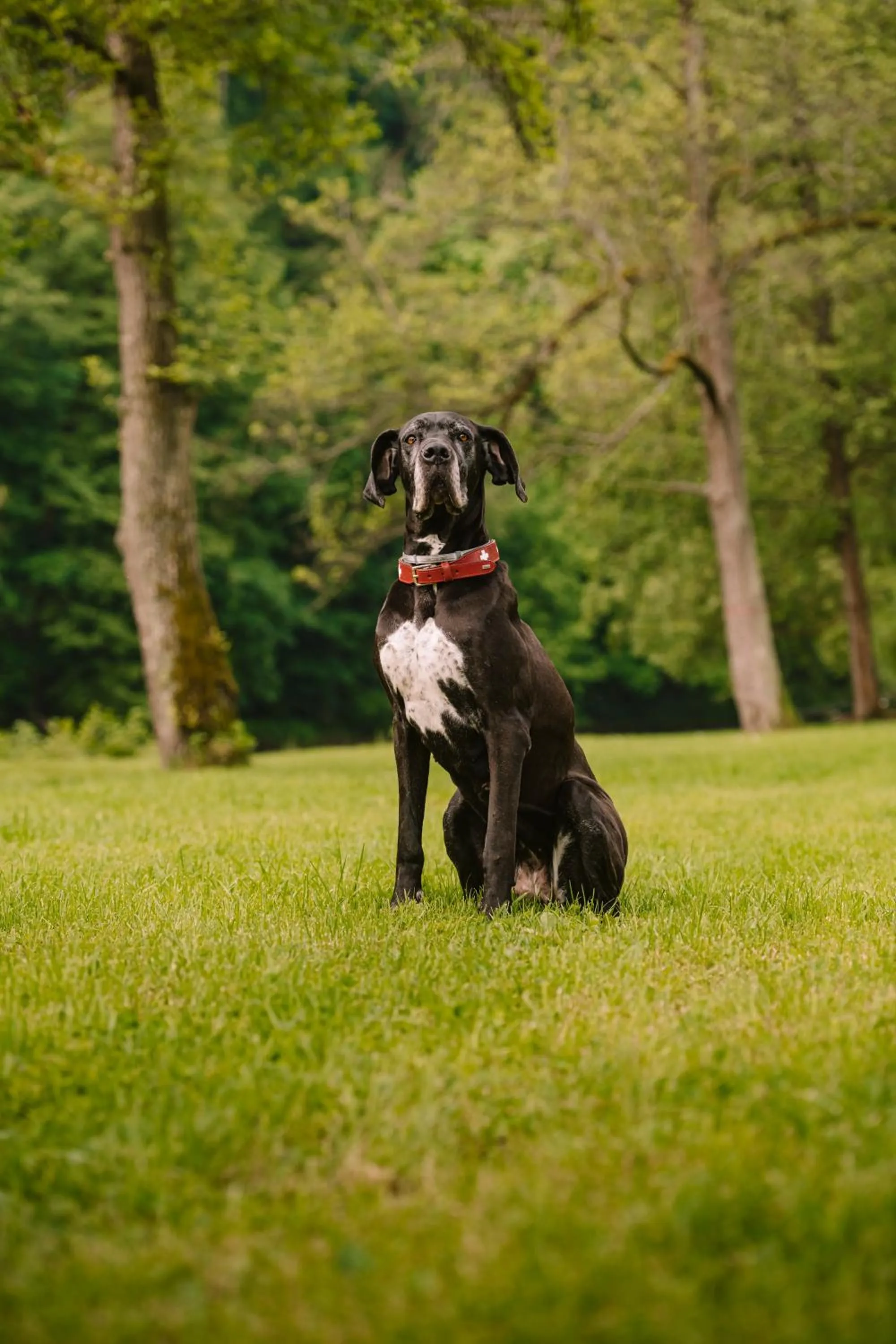 Natural landscape in Ubytování Ostende - penzion