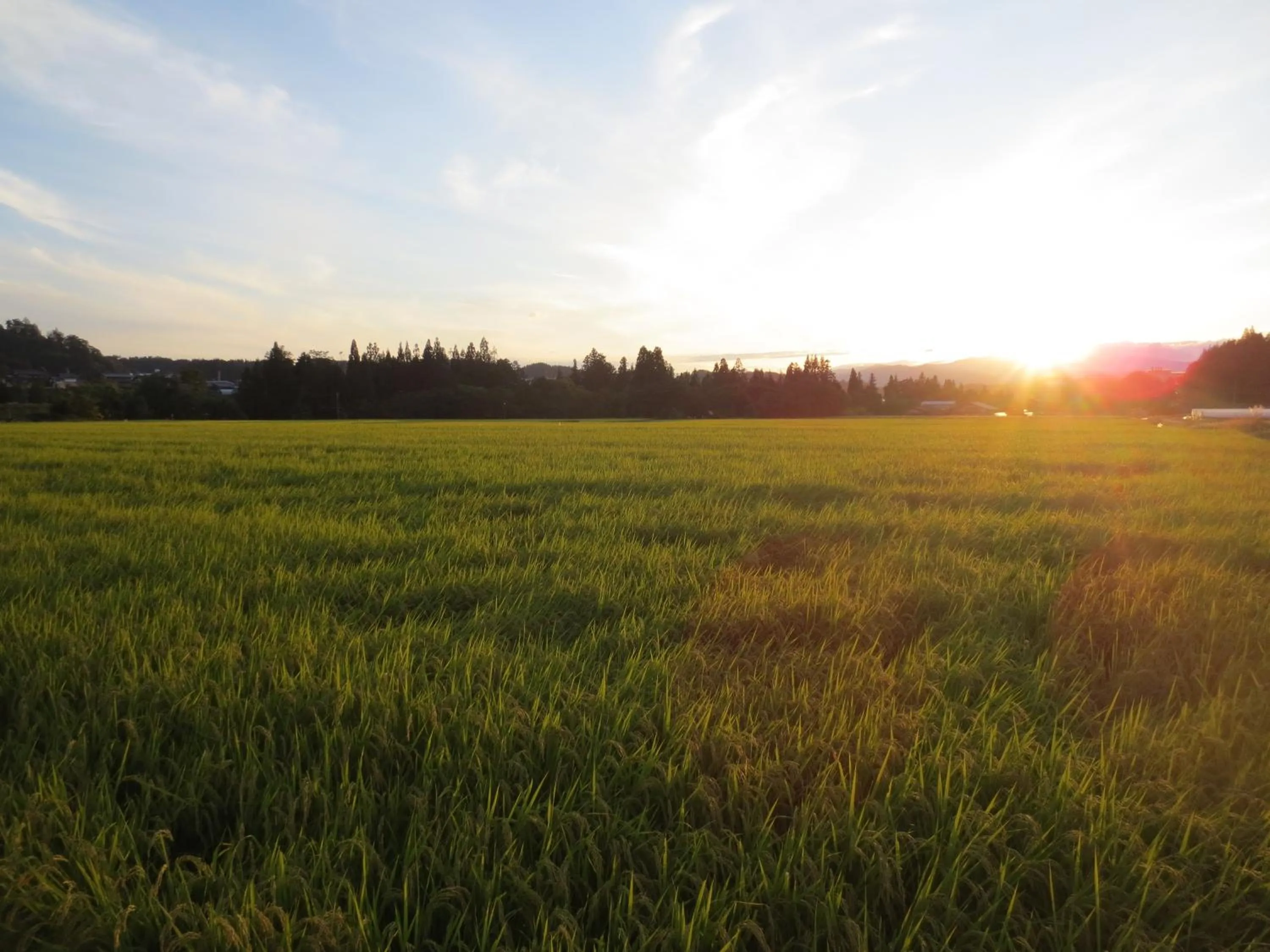 Natural landscape in Shitanda