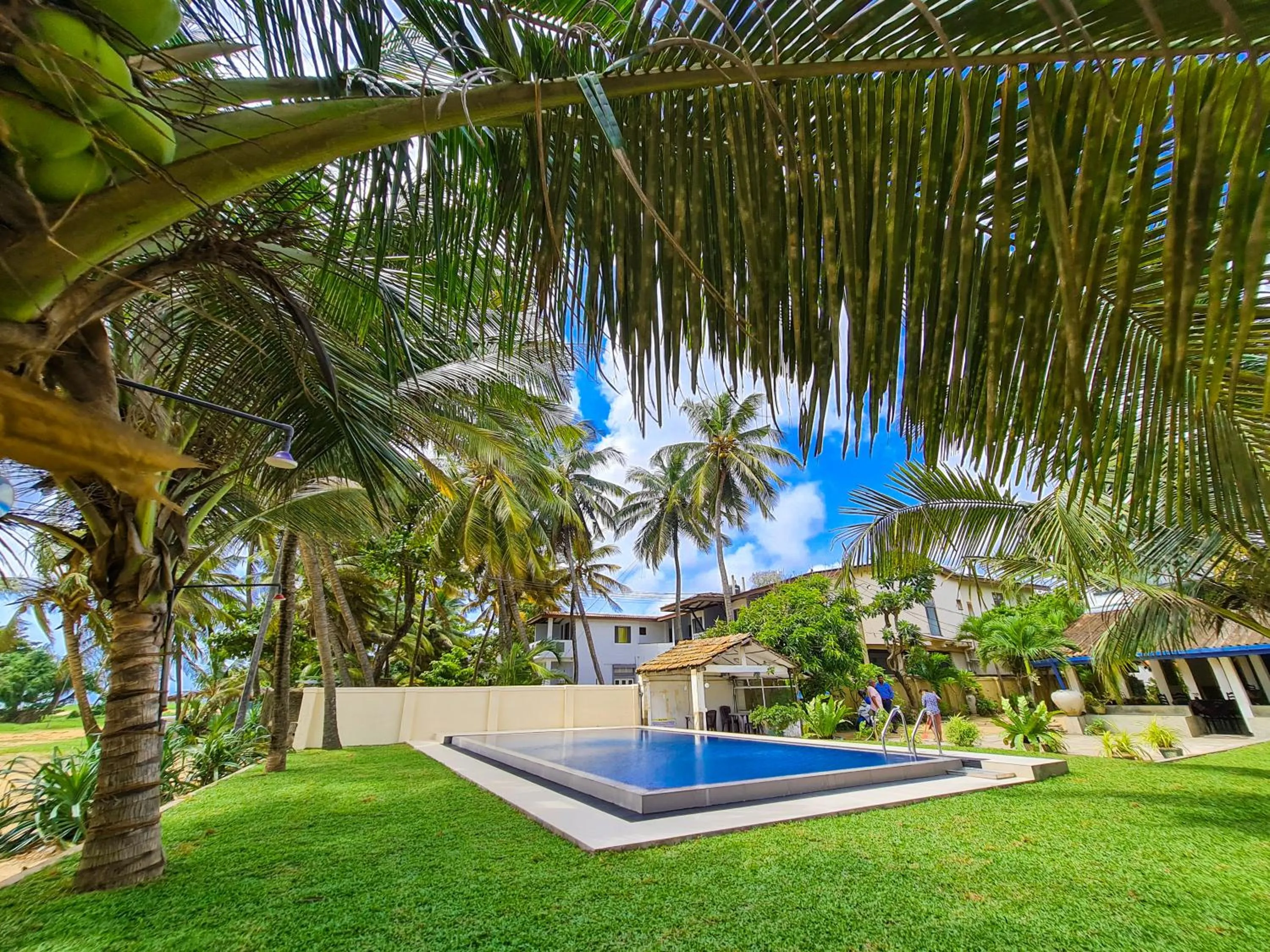 Garden in Star Beach Guest House