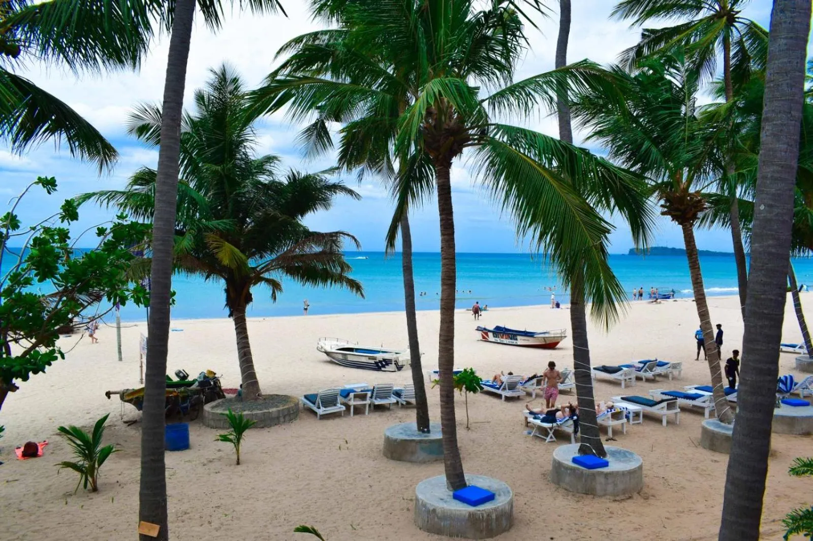 Day in Golden Beach Cottages