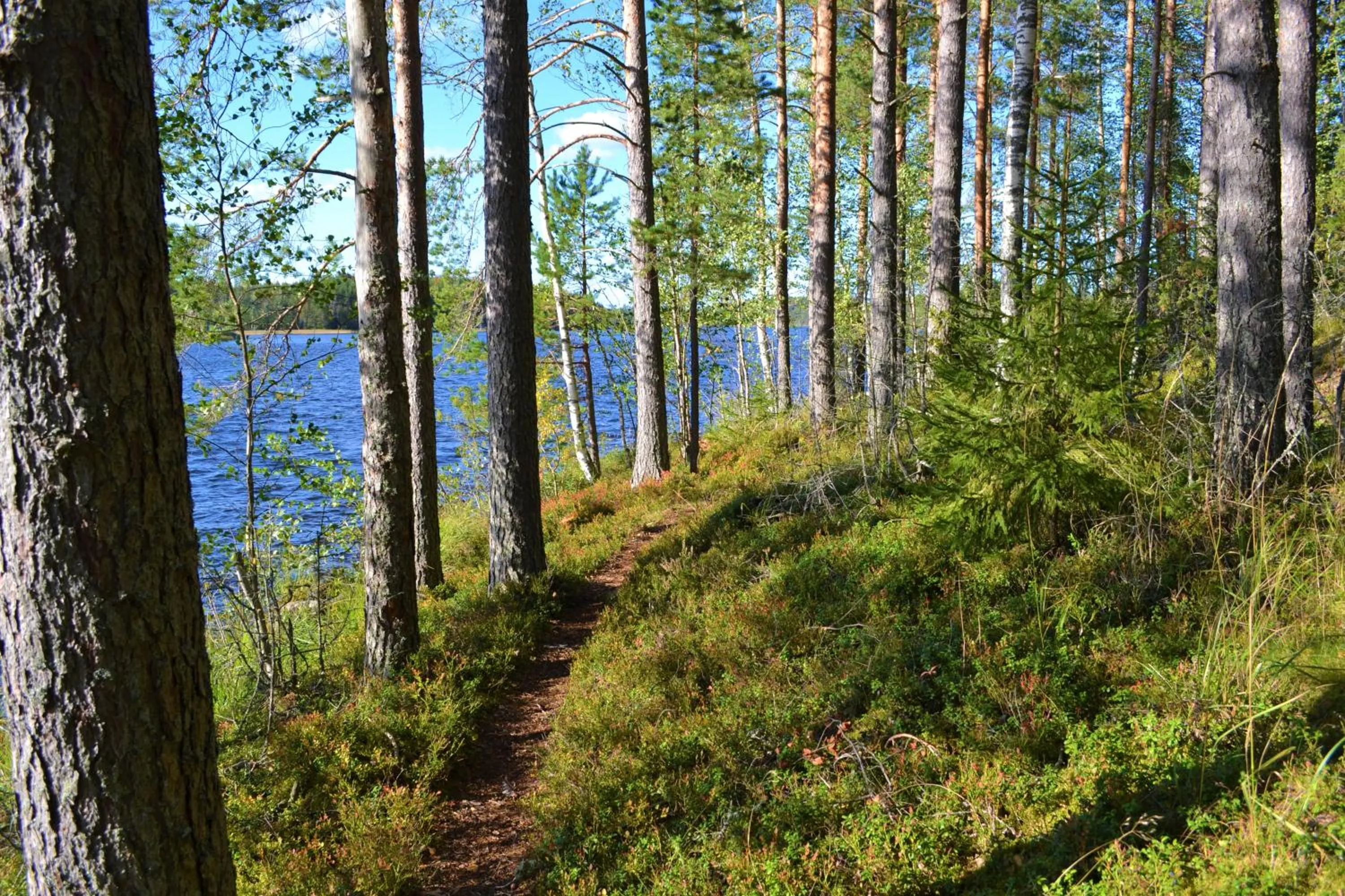 Hiking in Salpalinjan Hovi