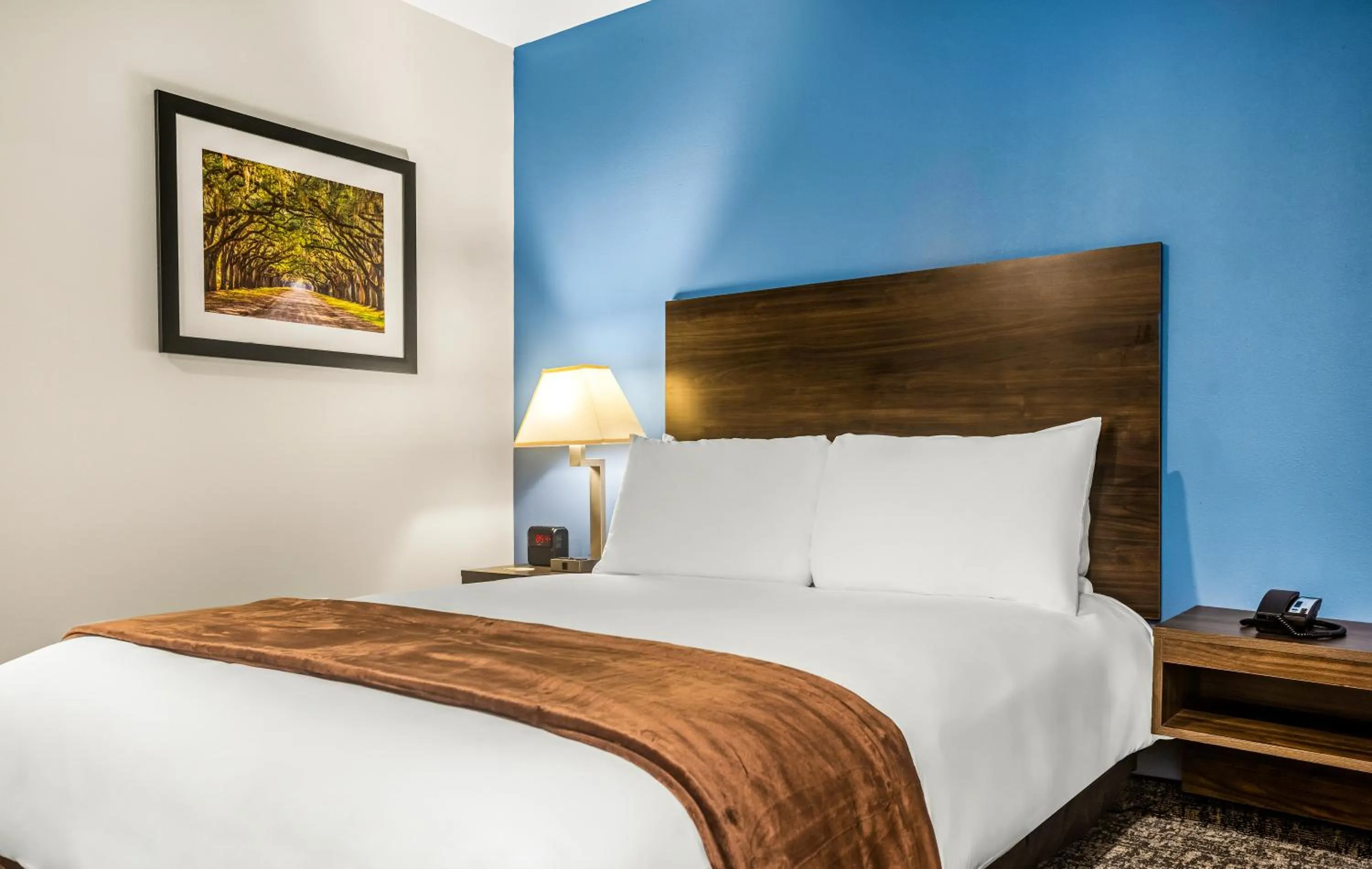 Bed in My Place Hotel-Savannah Airport/Pooler, GA