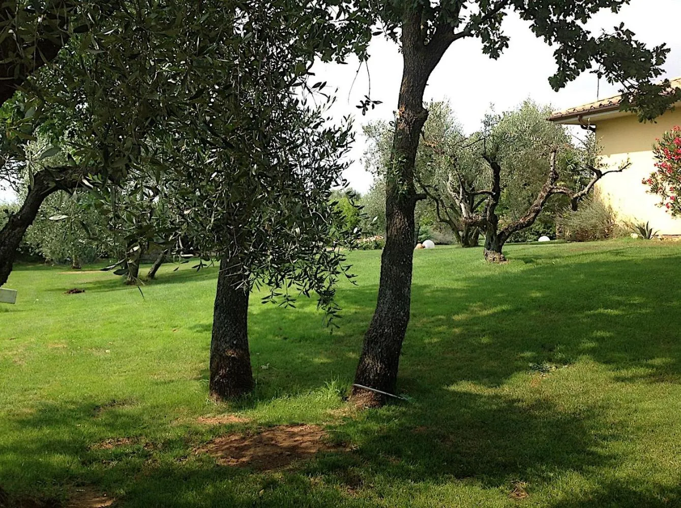 Bed and breakfast Ellera Viterbo