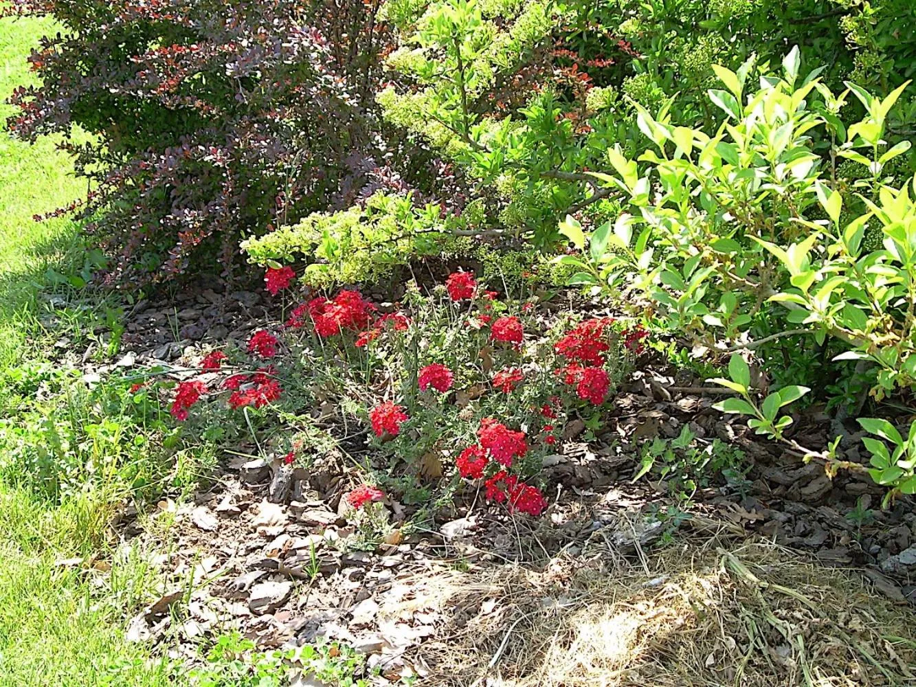 Bed and breakfast Ellera Viterbo