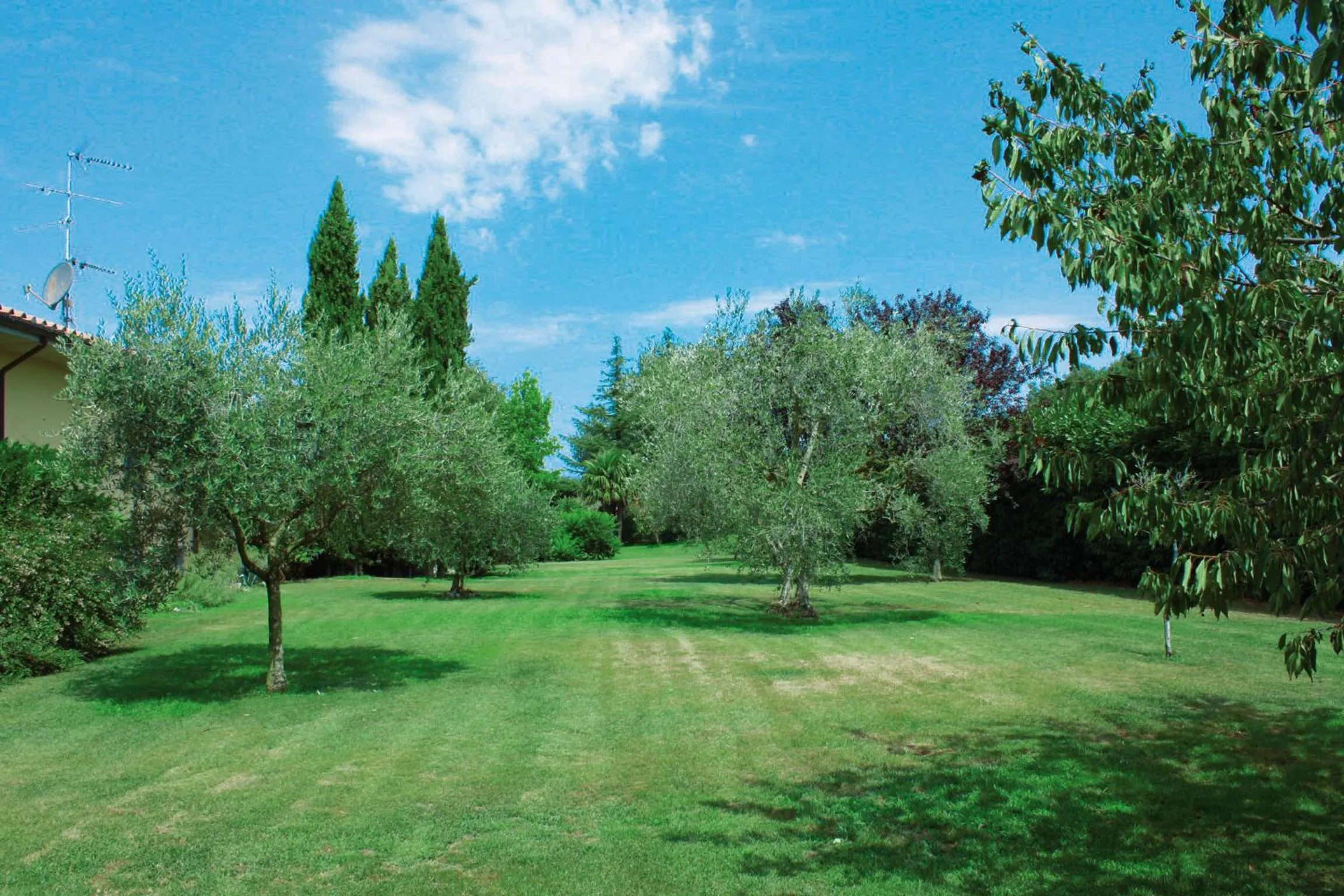 Garden in Bed and breakfast Ellera Viterbo