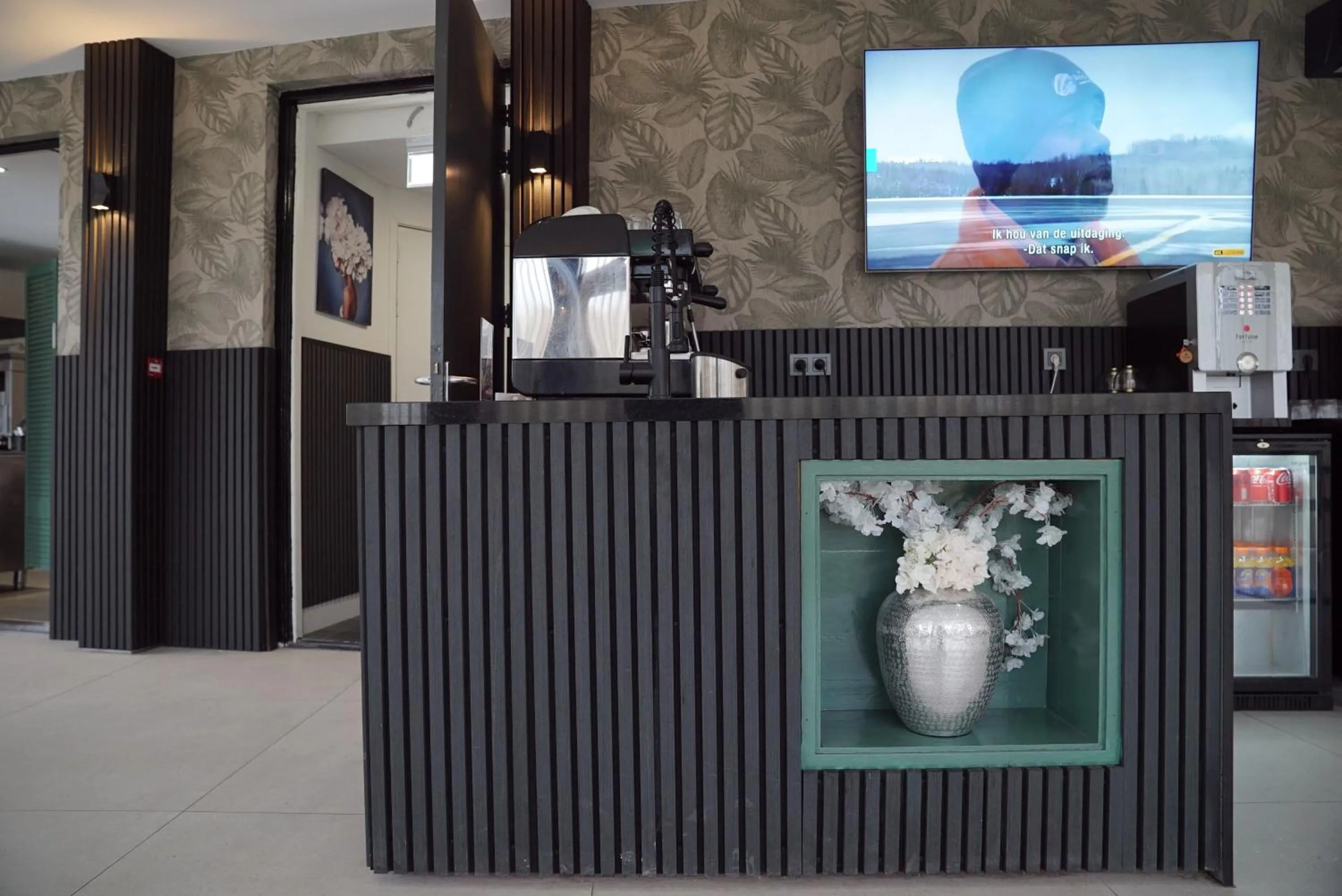 TV and multimedia in MA Airport Hotel